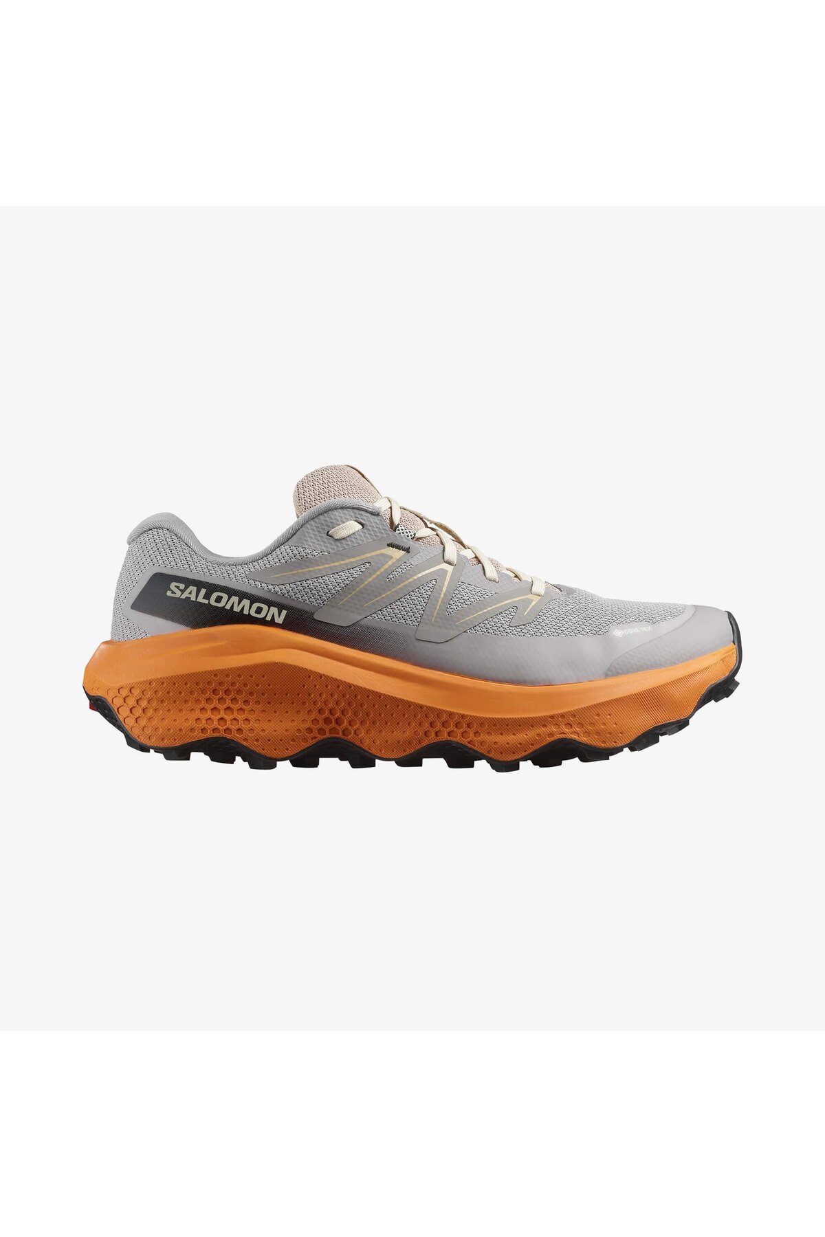 کفش ورزشی مردانه Gull مدل ULTRA FLOW 2 GORE-TEX L47884200 سالومون کتانی تمرین و دویدن Salomon