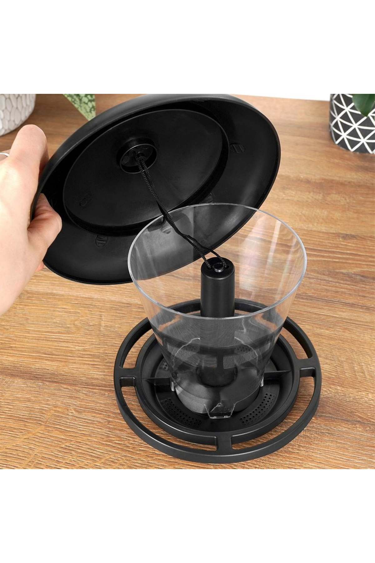 IPAE PROGARDEN-Bird feeder 16.5 cm 7