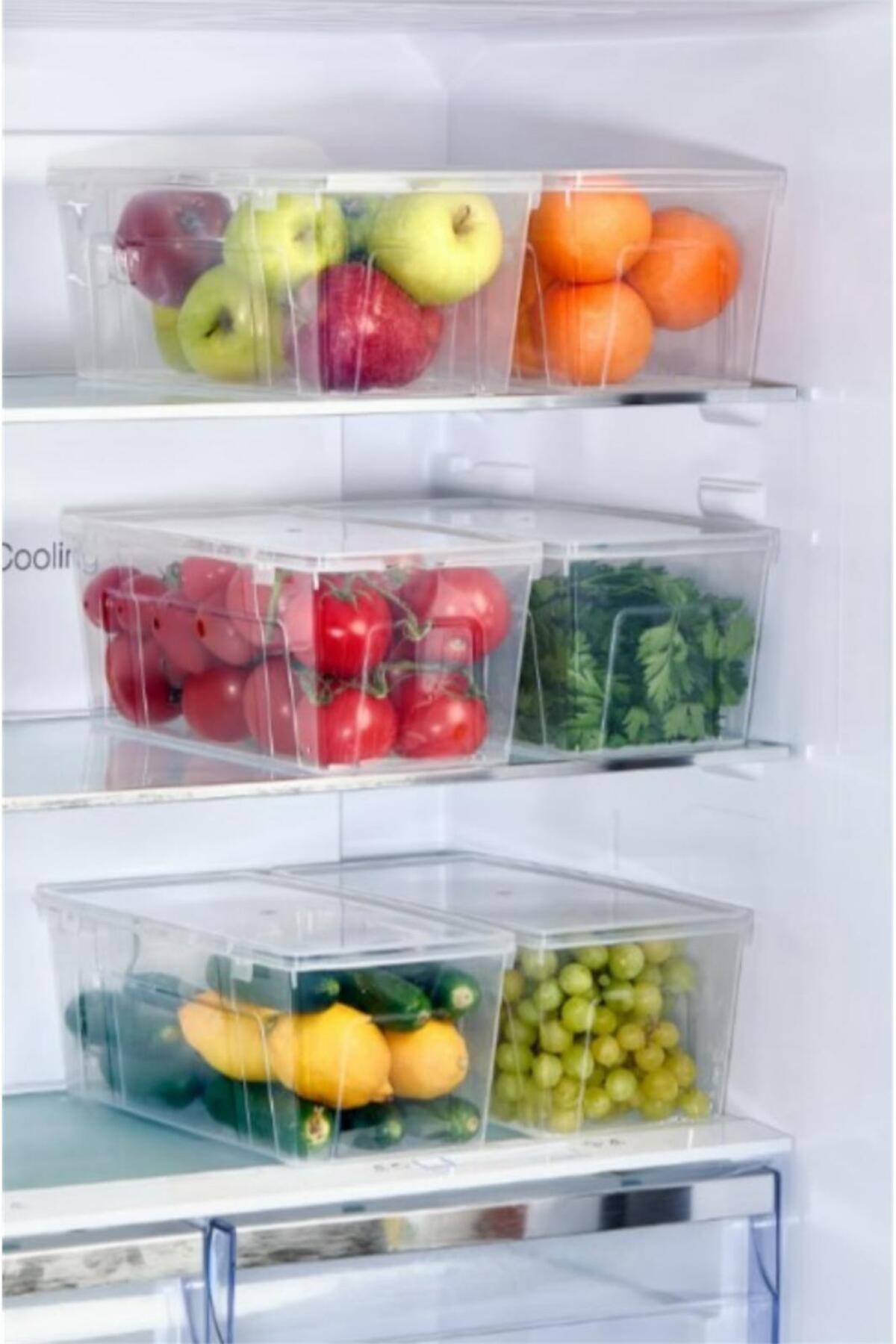 Bayev-Gloss 4 Piece Refrigerator Organizer with Lid - Multi-Purpose Toy Shoe Refrigerator Storage Container 2