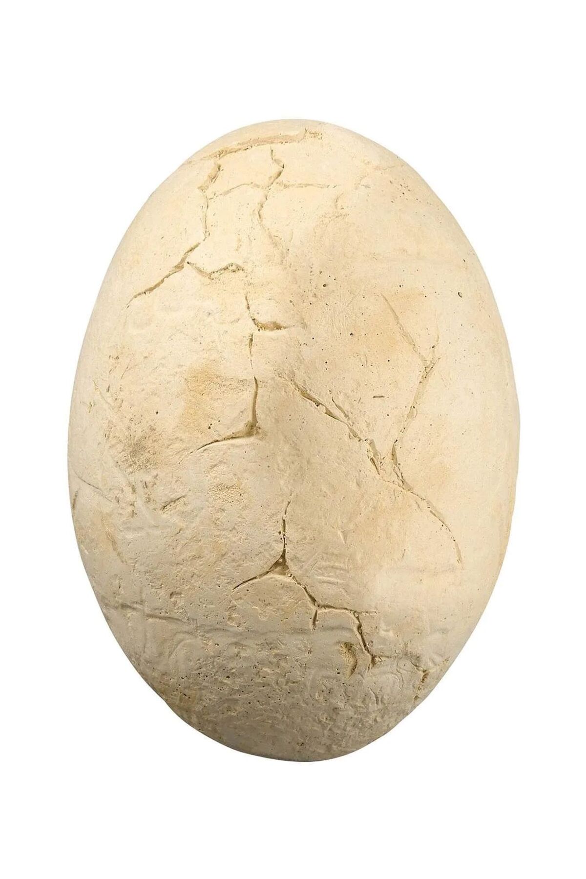 تخم‌مرغ غول‌پیکر