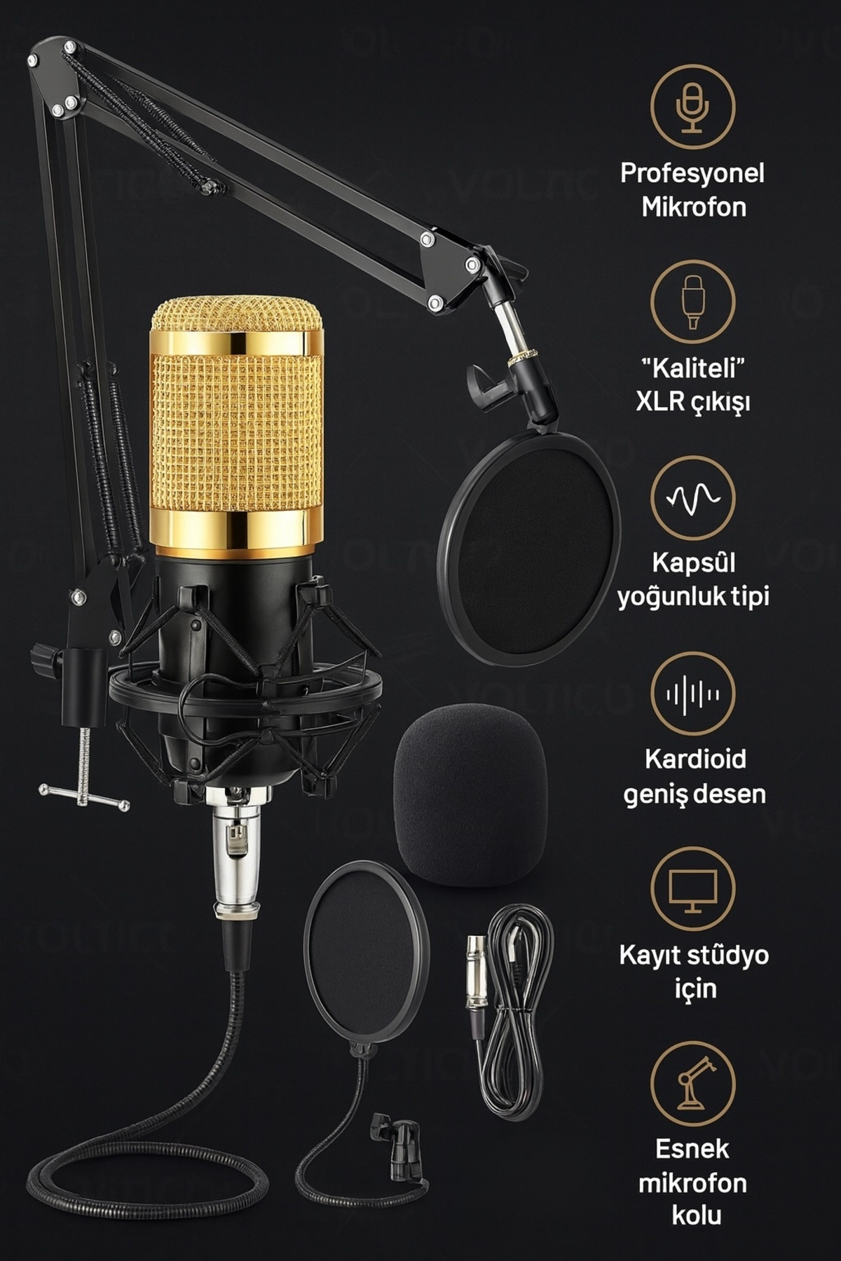 Voltico Altın Kondenser Profesyonel Stüdyo Mikrofon Seti – XLR Bağlantılı, Esnek Kol ve Pop Filtre Dahil