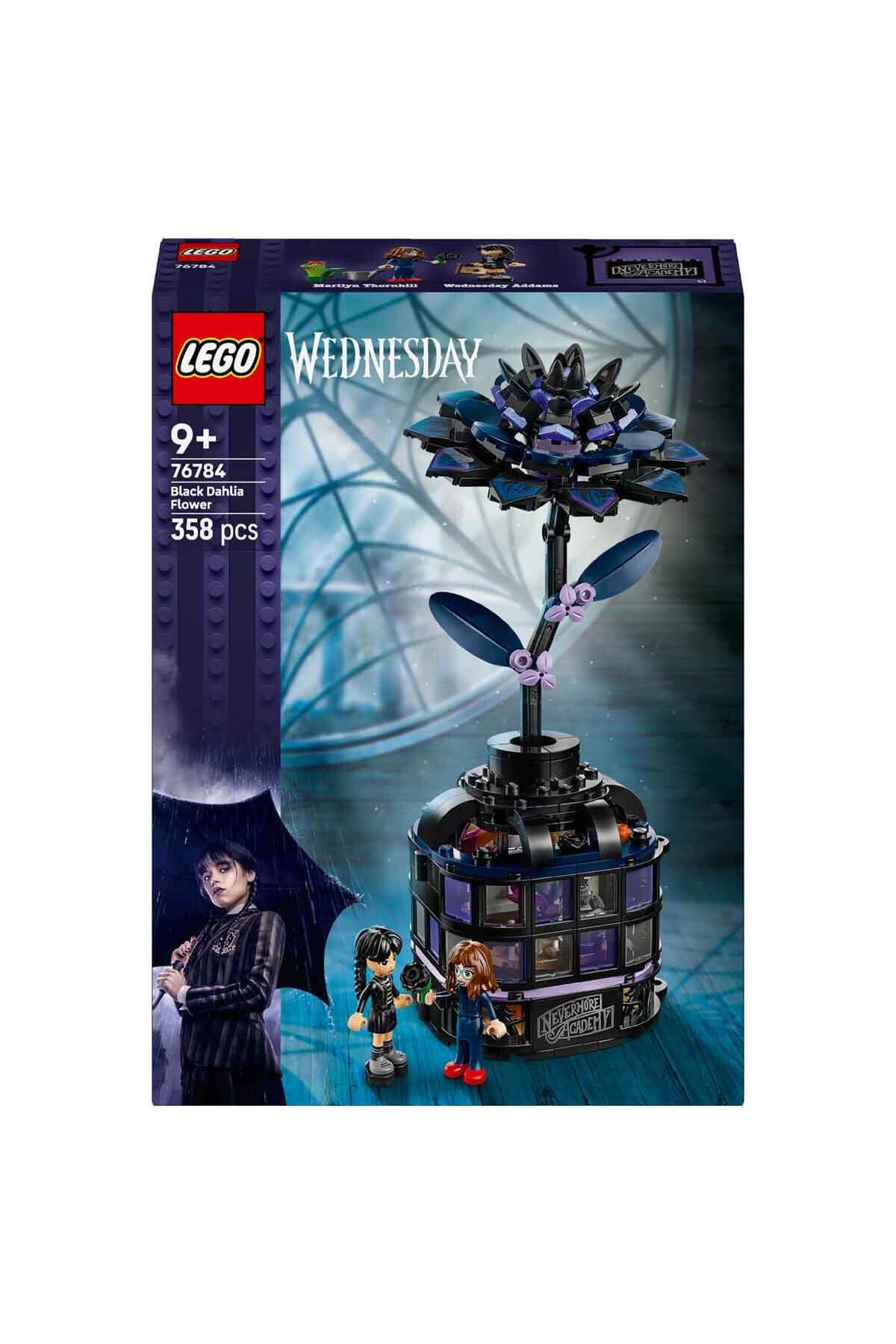 گل ستارهٔ سیاه چهارشنبه ۷۶۷۸۴ - گل کلکسیونی برای کودکان ۹ ساله و بالاتر