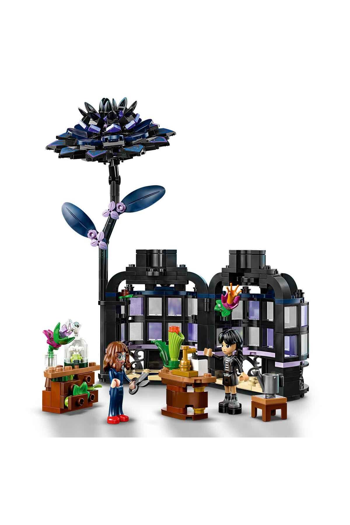 گل ستارهٔ سیاه چهارشنبه ۷۶۷۸۴ - گل کلکسیونی برای کودکان ۹ ساله و بالاتر