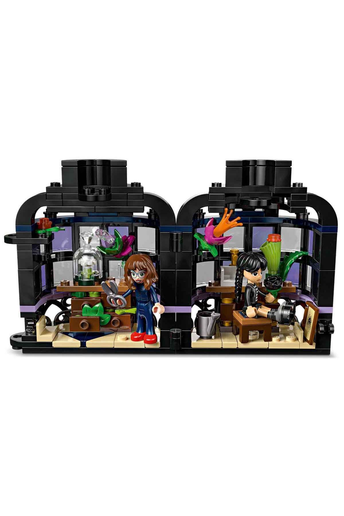 گل ستارهٔ سیاه چهارشنبه ۷۶۷۸۴ - گل کلکسیونی برای کودکان ۹ ساله و بالاتر