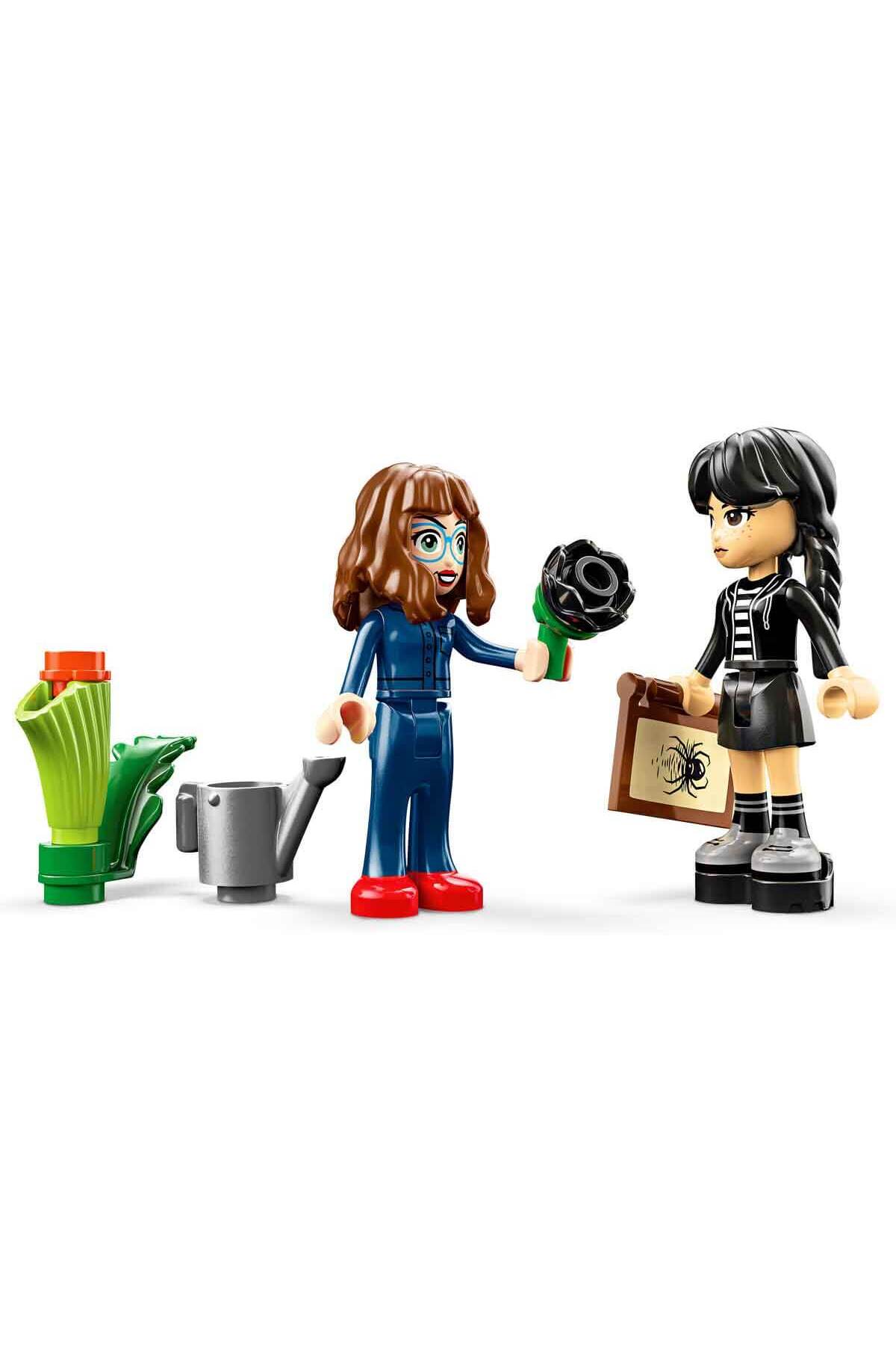 گل ستارهٔ سیاه چهارشنبه ۷۶۷۸۴ - گل کلکسیونی برای کودکان ۹ ساله و بالاتر