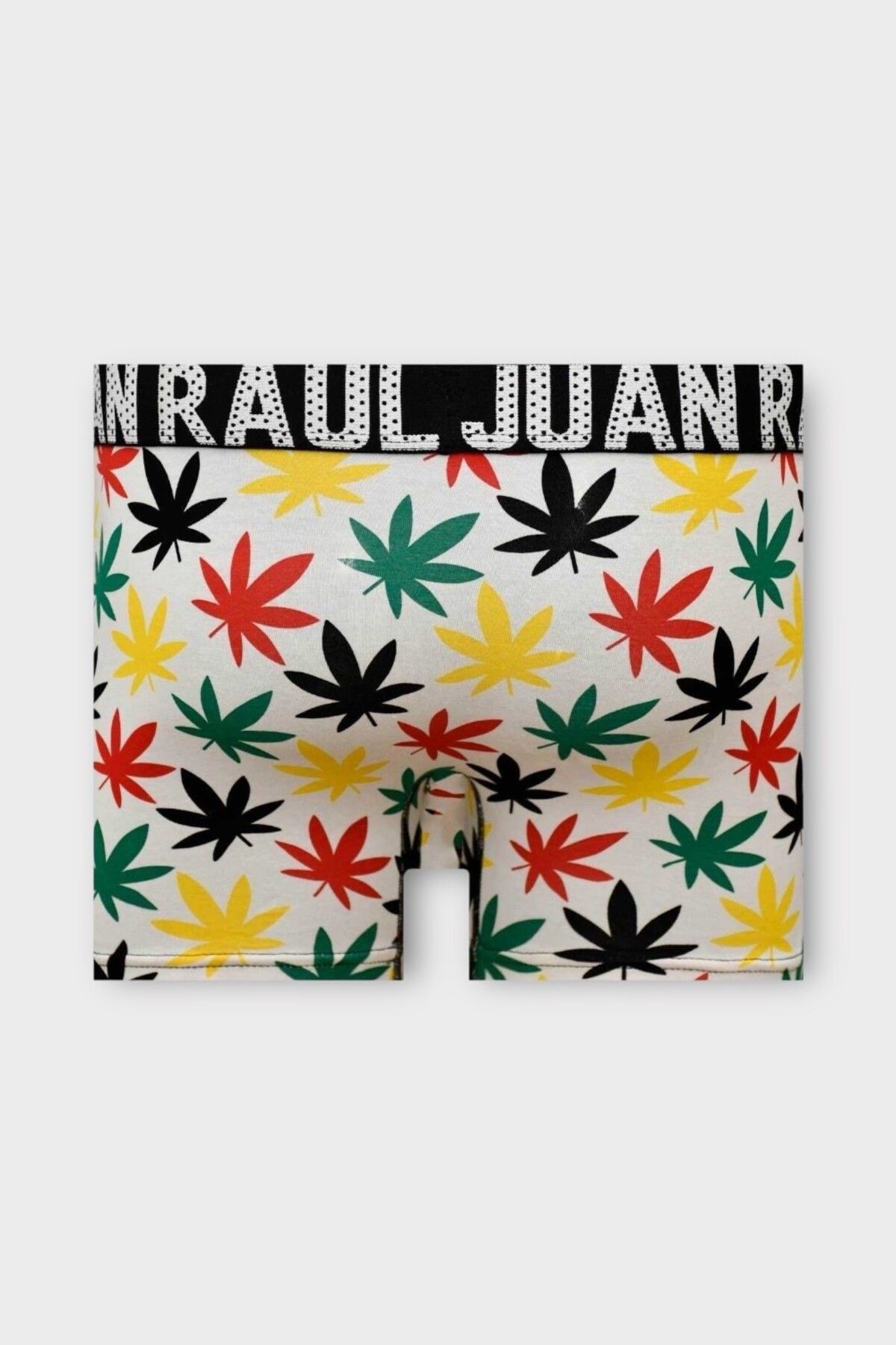 Juan Raul-Multicolored Leaf Patterned Men's Boxers - Db260 2