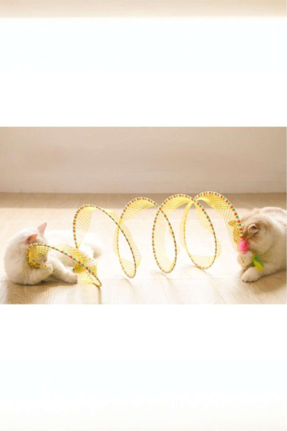 DodoJoy-Cat Play Tunnel Folding Play Tunnel Cat Entertainment Tunnel Hide Tunnel for Cat 2