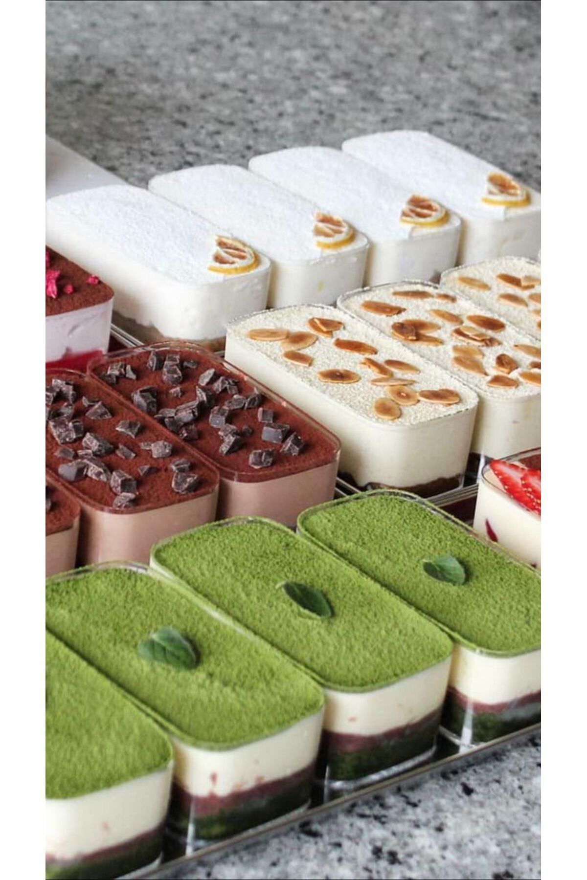 Sunumluk & Magnoliya & Tatlı Kasesi &plastık Mıka &tek Kulanımlık 300cc Kase 6 Adet+KAPAK6 Adet — Koksal Pack — Kase (3)