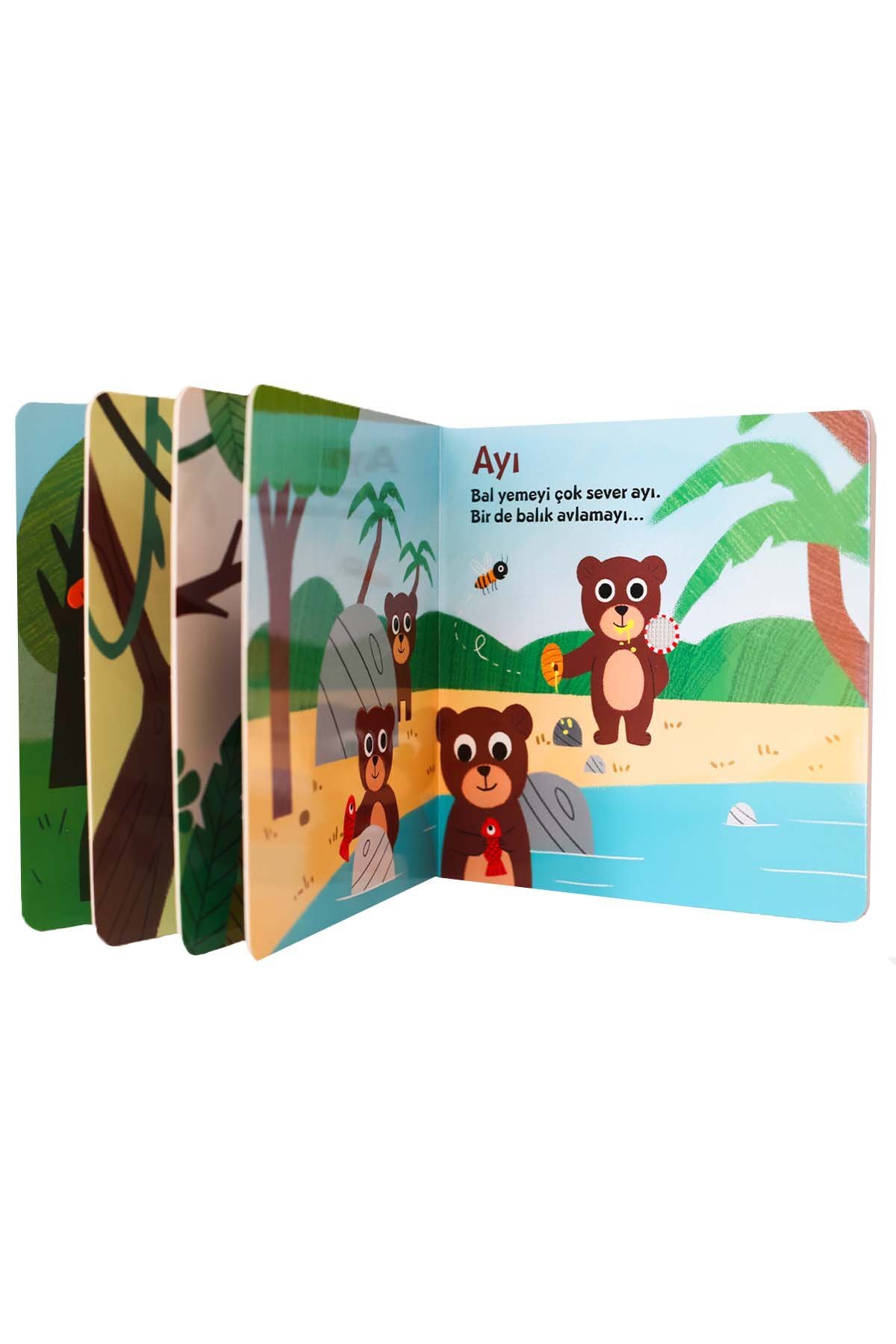 Türkiye Diyanet Vakfı Yayınları Dokun ve Dinle Sesli Kitabım Orman fotoğrafı 2 (önizleme)