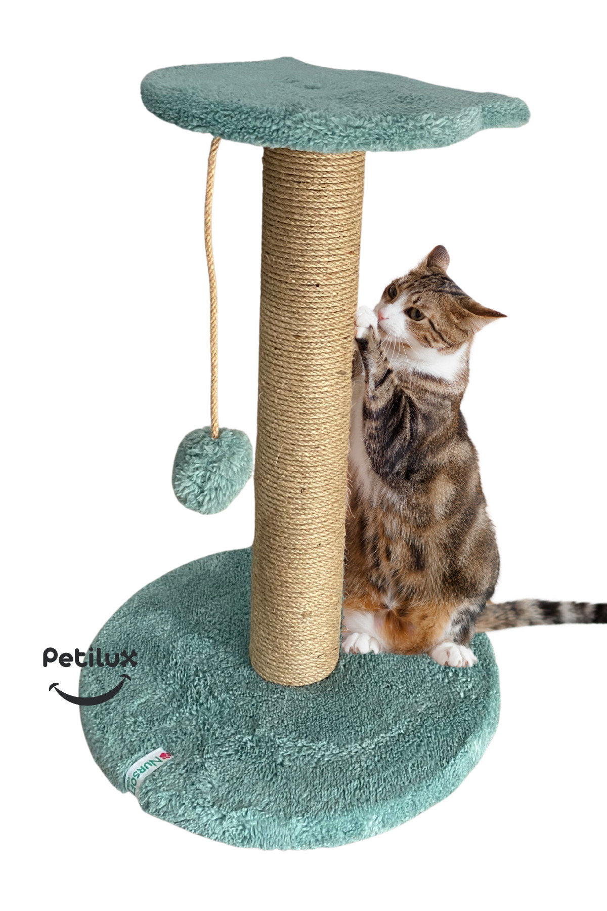 Petilux-Jute Drawstring Single Scratching Post with Cat Head Figure Step Top 1
