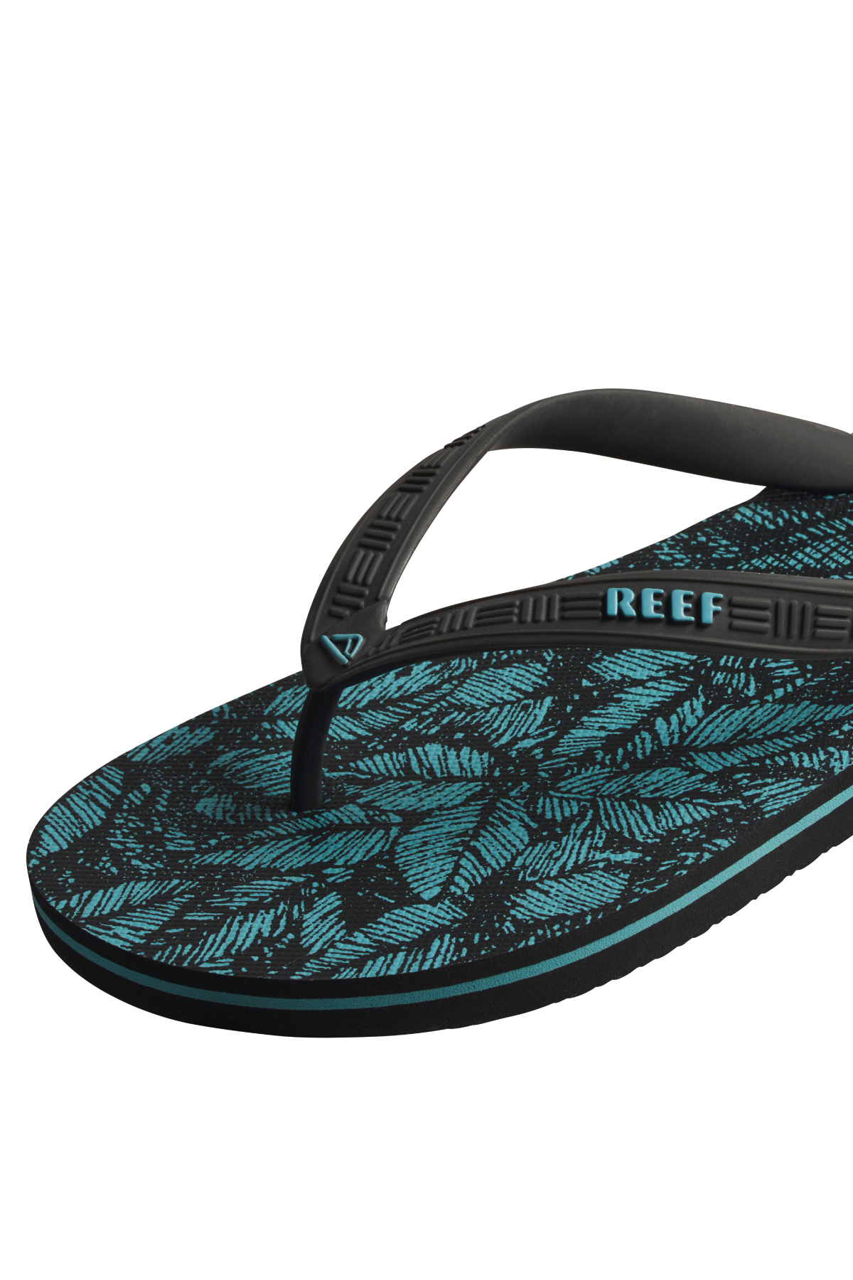 Reef-Seaside Prints - Aquifier Palm 4