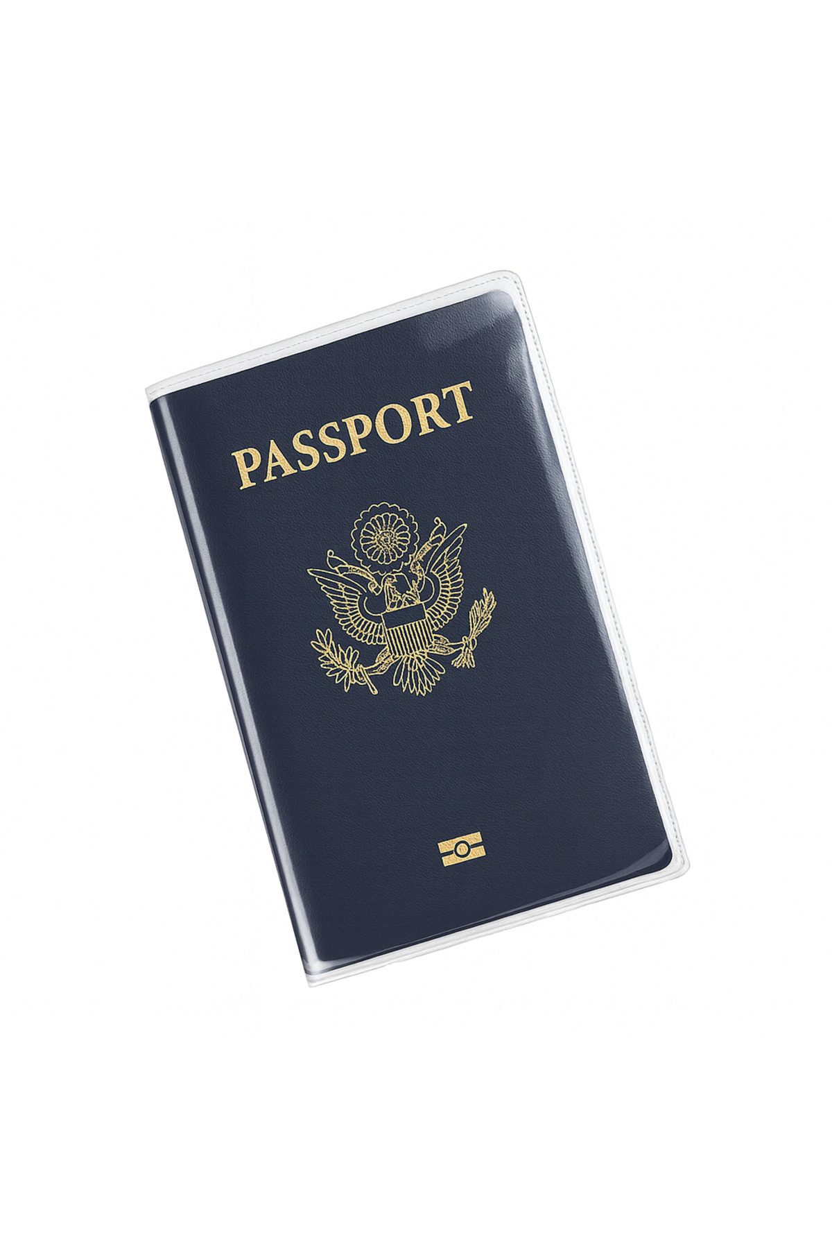 Boldy-1 Transparent Passport Holder - Protection and Protective Effect 1