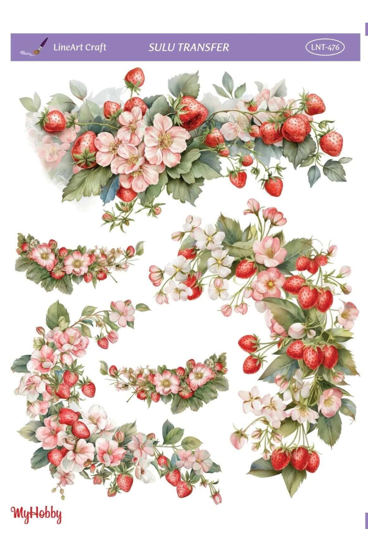 Genel Markalar Sulu Transfer Kağıdı LNT476 25x35 cm