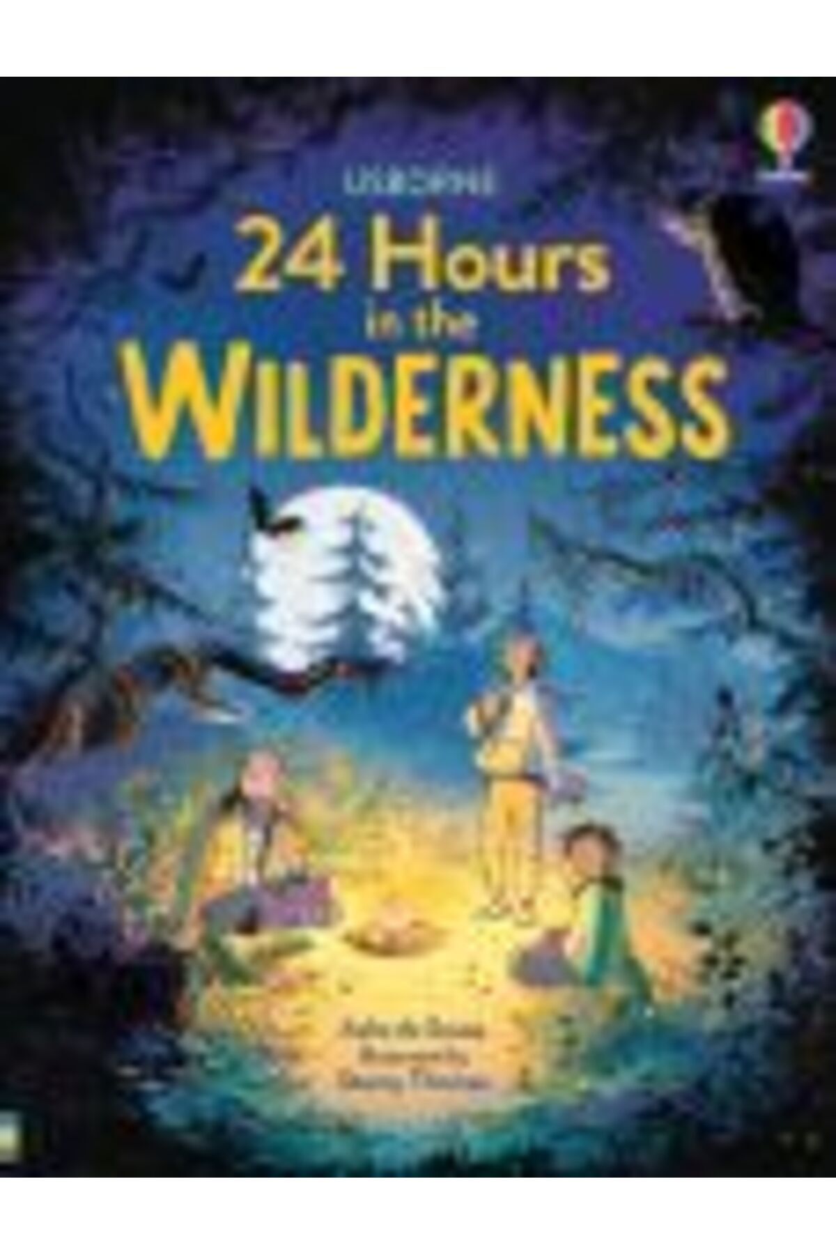 Usborne Publishing-24 Hours in the Wilderness 4