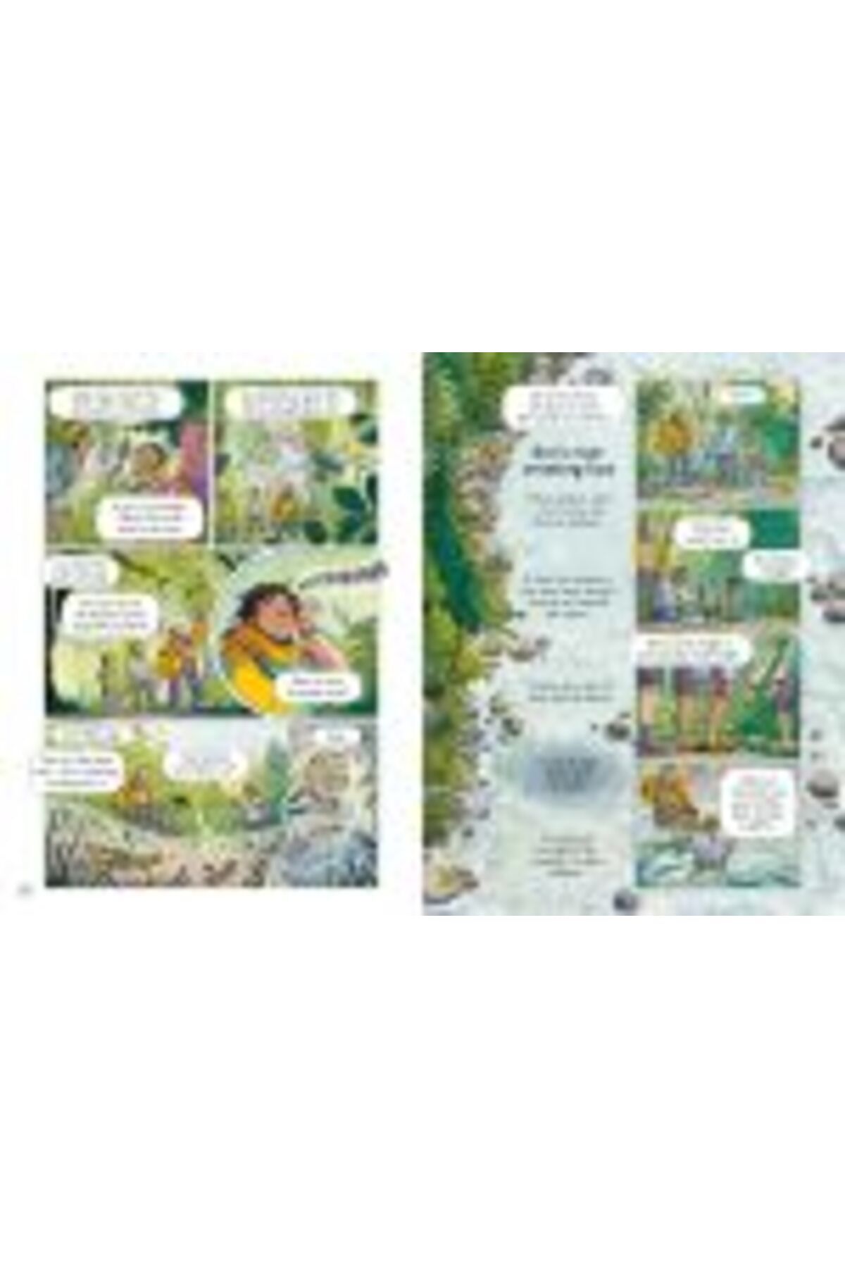 Usborne Publishing-24 Hours in the Wilderness 8