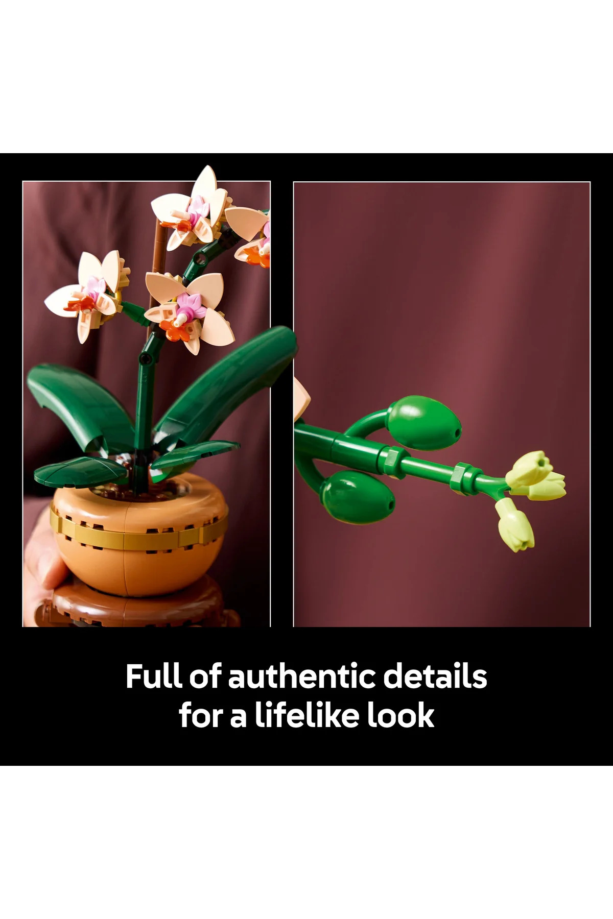 مجموعه ساختنی گیاه مصنوعی مینی ارکیده ® Botanicals برای بزرگسالان (۲۷۴ قطعه) ۱۰۳۴۳