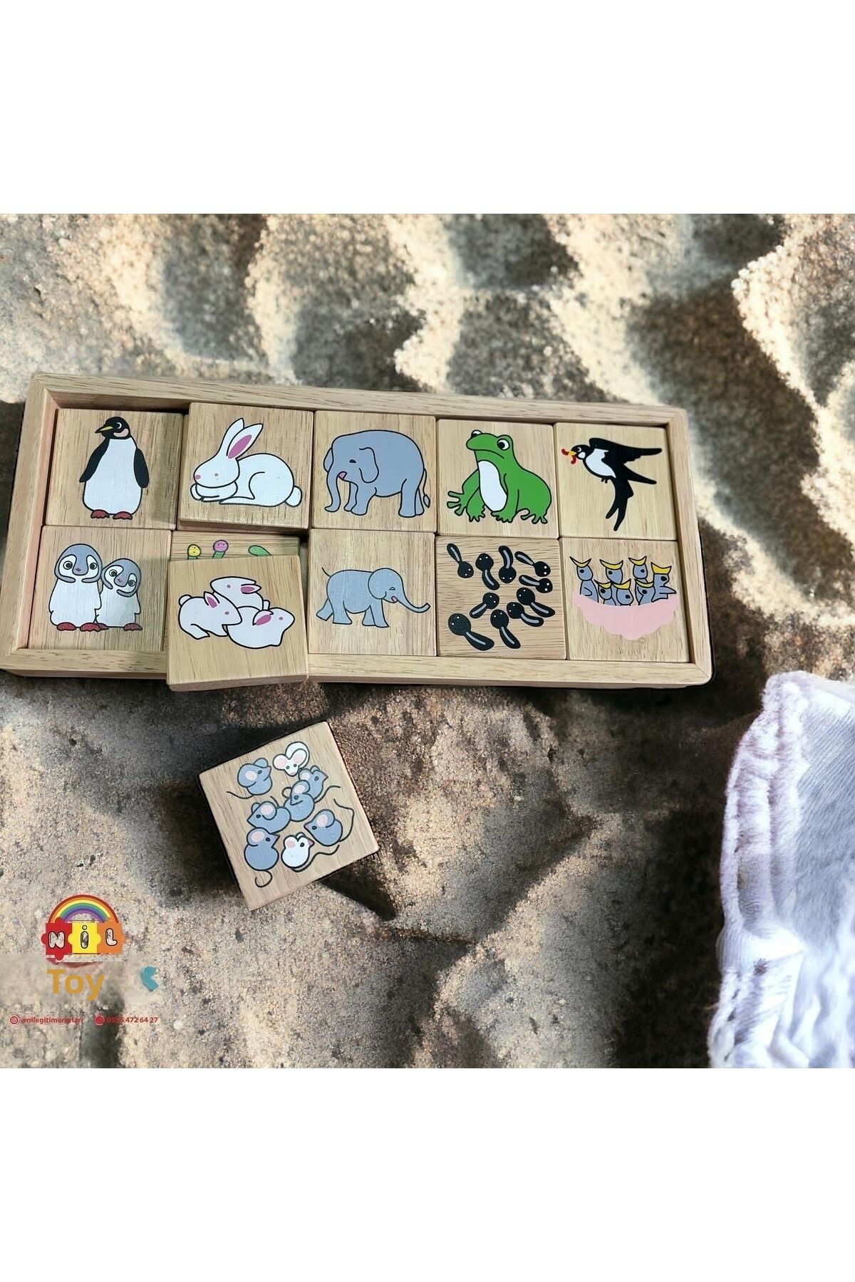 ۲۰ عدد حیوان چوبی بچه‌گربه به همراه یراق‌آلات - در جعبه