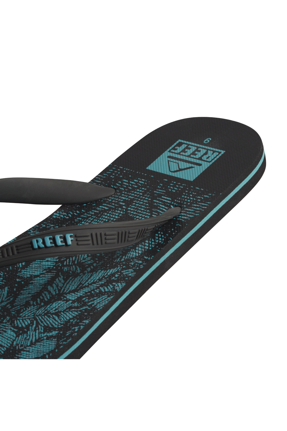 Reef-Seaside Prints - Aquifier Palm 5