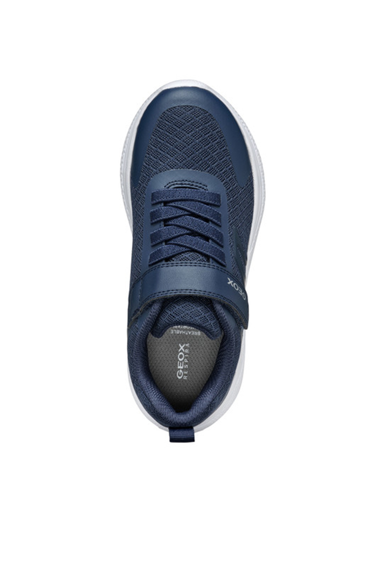 Geox-Sports shoes 6
