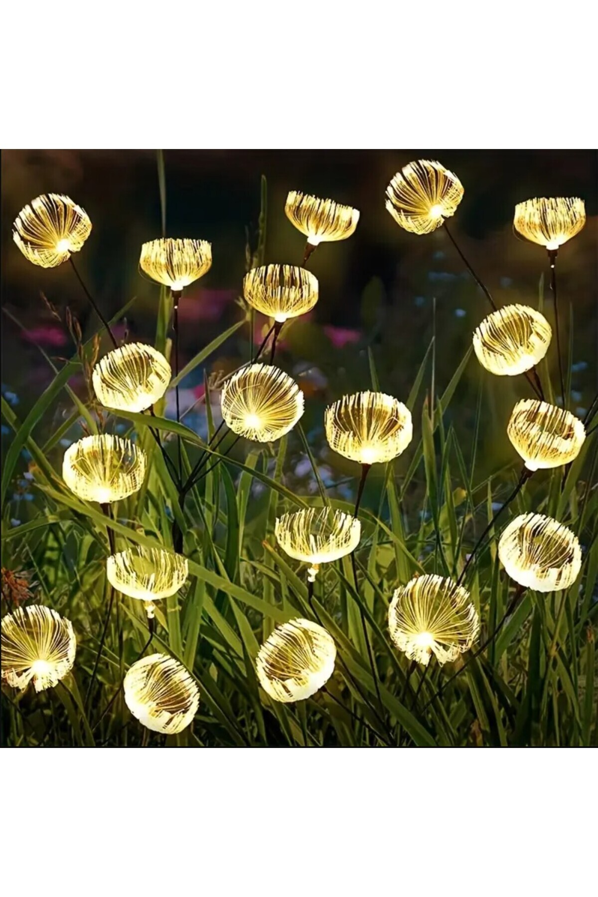 Mighty SOLAR 6 TOP LED SARI RENK DENİZ ANASI LED BAHÇE AYDINLATMA SOLAR BAHÇE SÜSÜ SGE1004