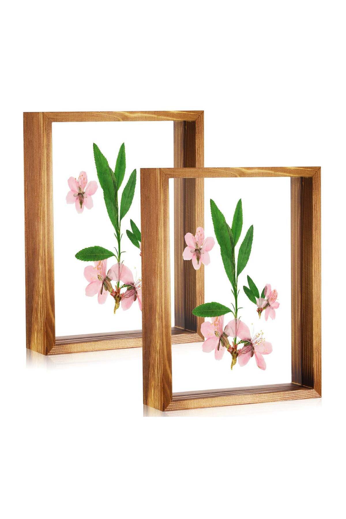 Generic-KASTWAVE 2 Piece Rustic Floating Frames Pressed Flower Display Frames Double-Sided Acrylic Frames W 1