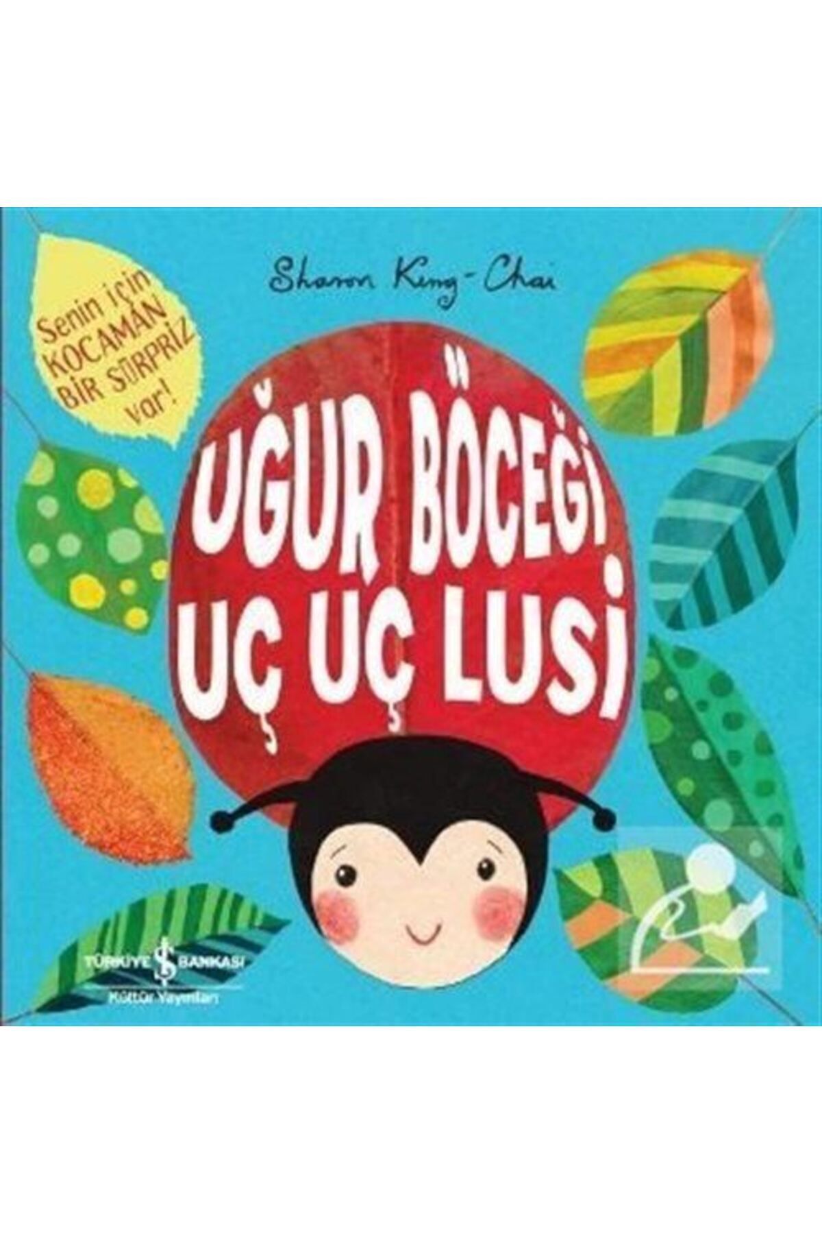 TÜRKİYE İŞ BANKASI KÜLTÜR YAYINLARI AAAA Uğur Böceği Uç Uç Lusi