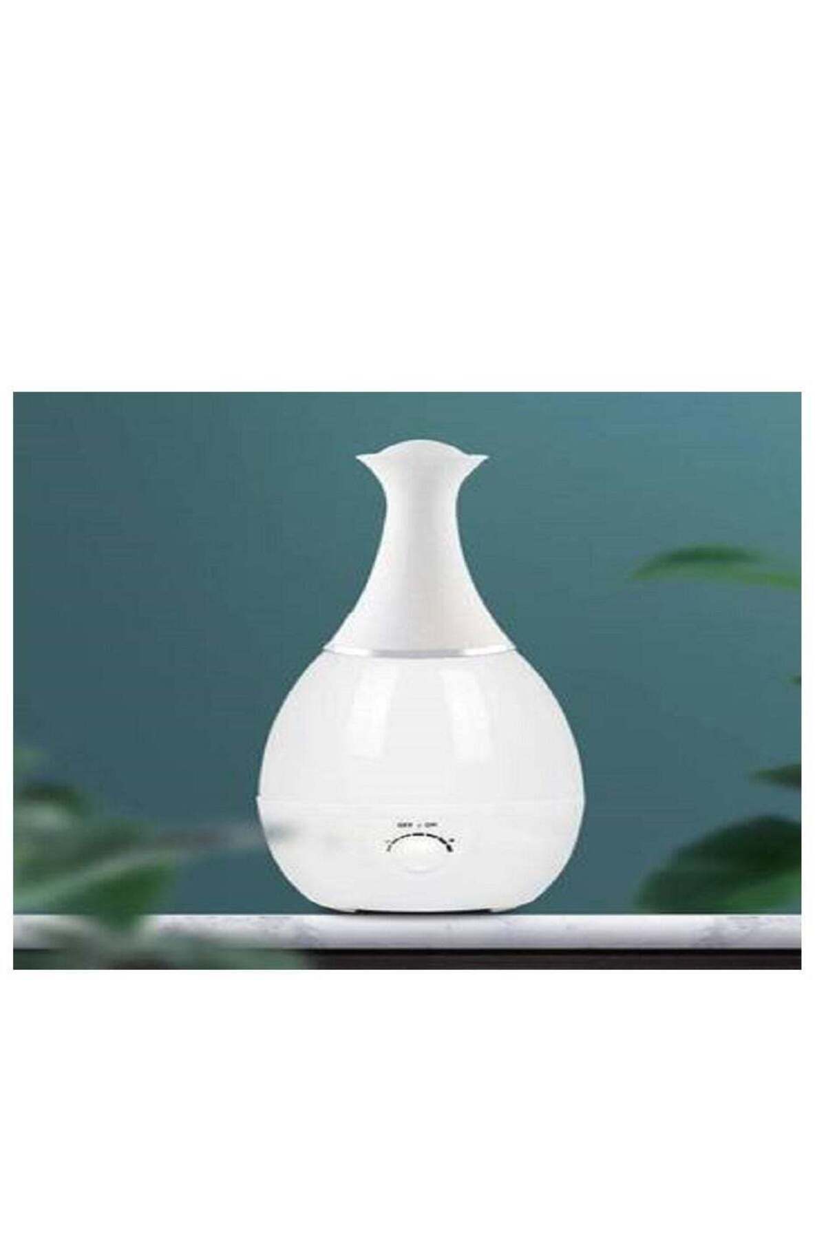 Generic-Diffuser 2*1 to purify the air and beautify the environment 3 liters 1