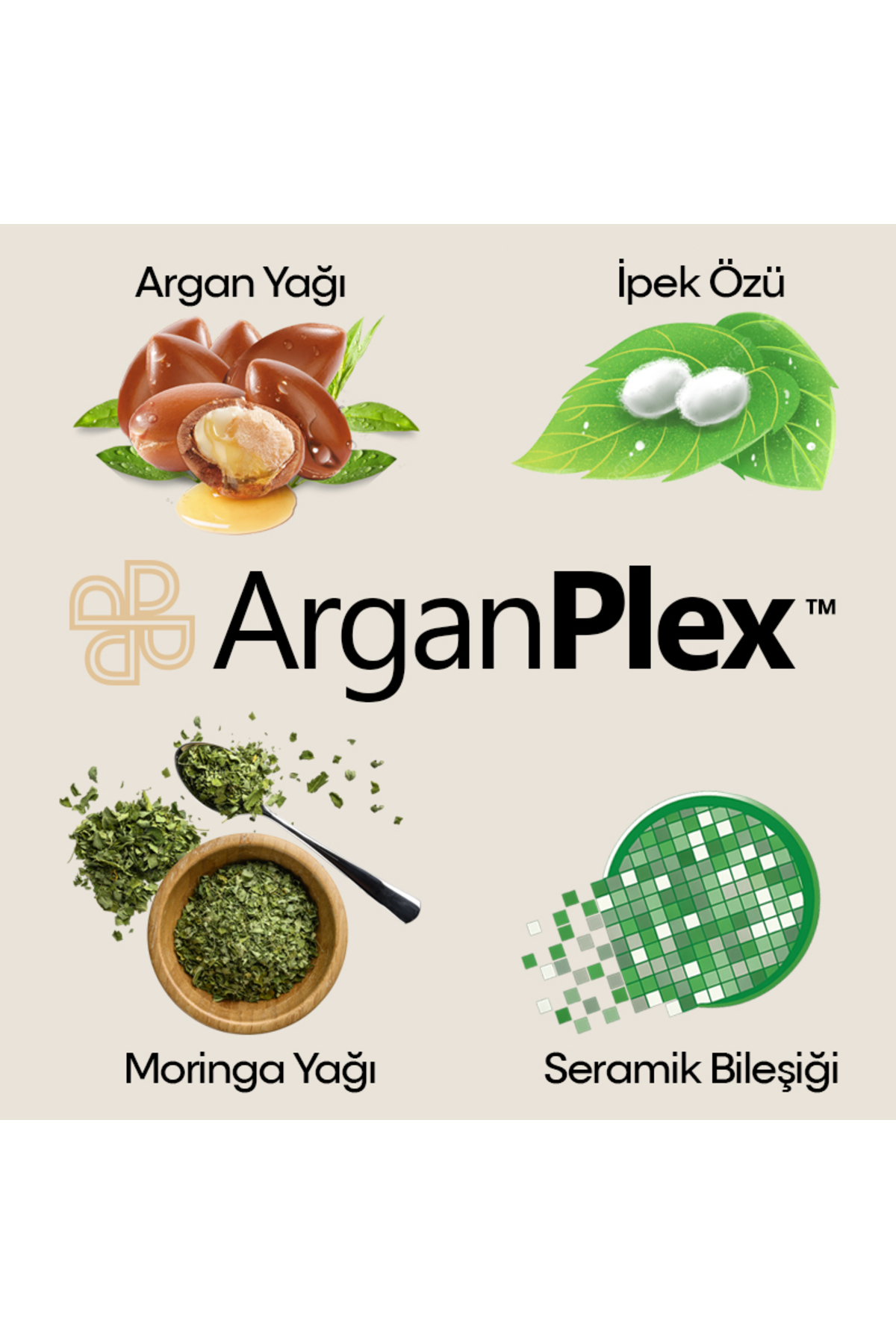 ArganPlex Kuru ve Yıpranmış Saçlar İçin İpek ve Argan Saç Kremi 380ml — PLX/ARGAN/KRM380 — تصویر 2 از 2