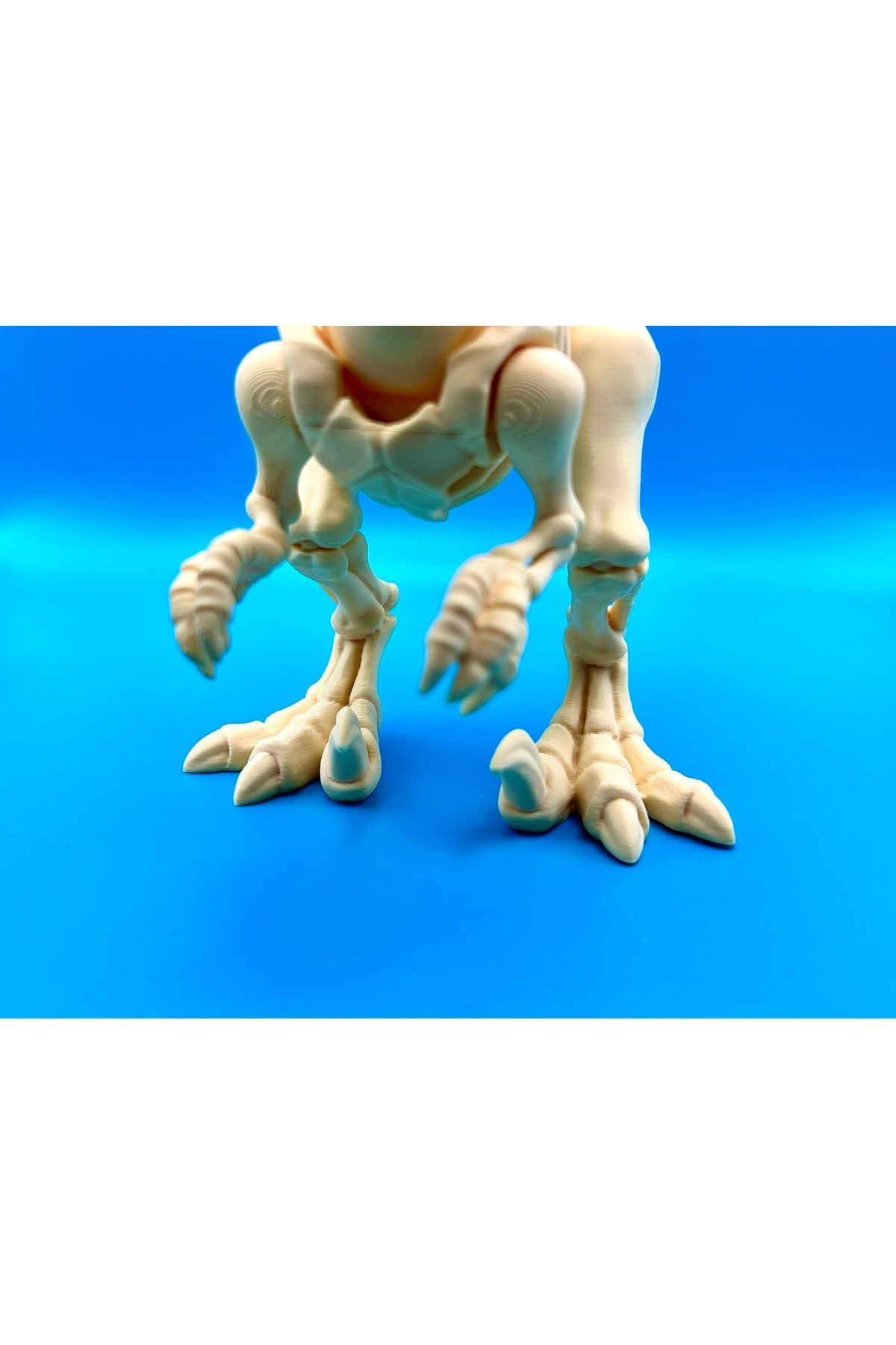 RdgTech-Dinosaur Toy, Realistic Velociraptor Model - Large Size 5