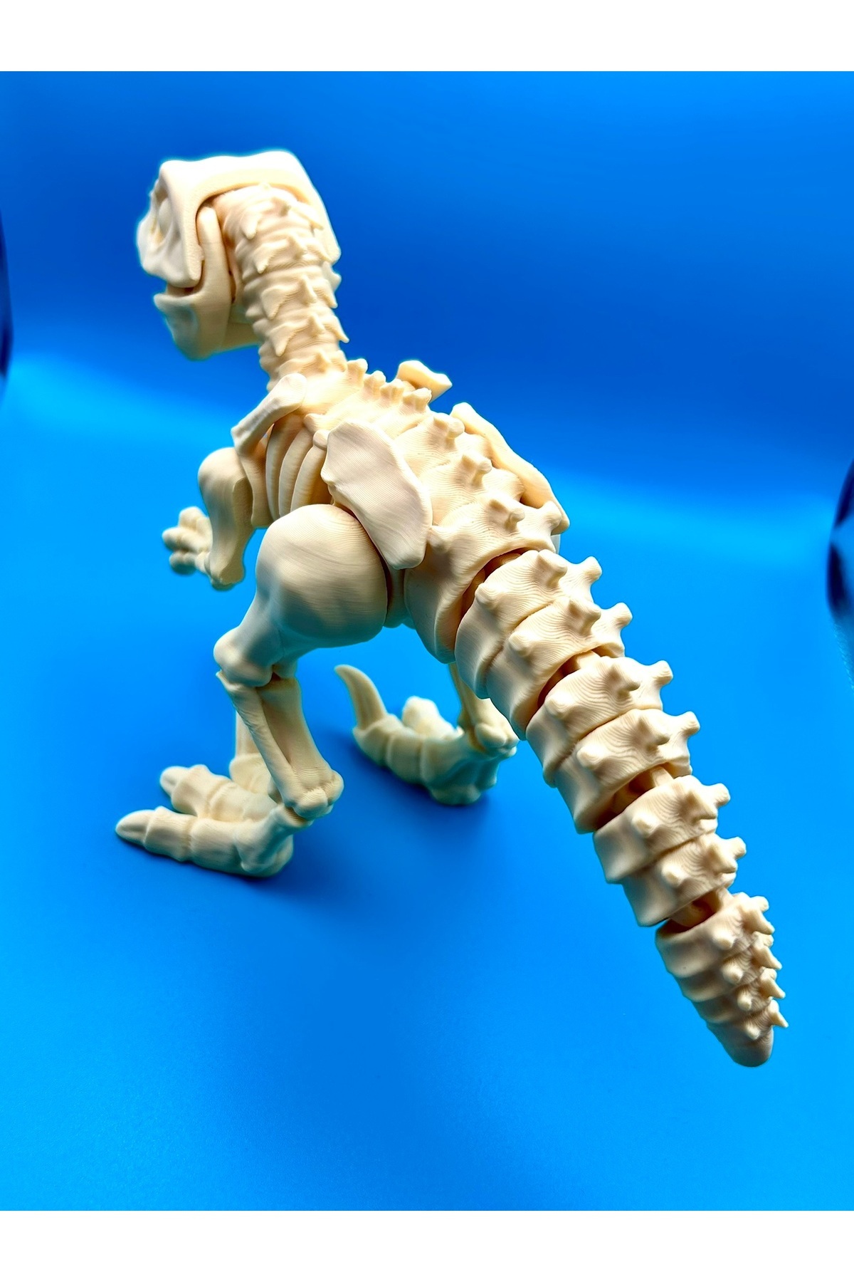 RdgTech-Dinosaur Toy, Realistic Velociraptor Model - Large Size 4