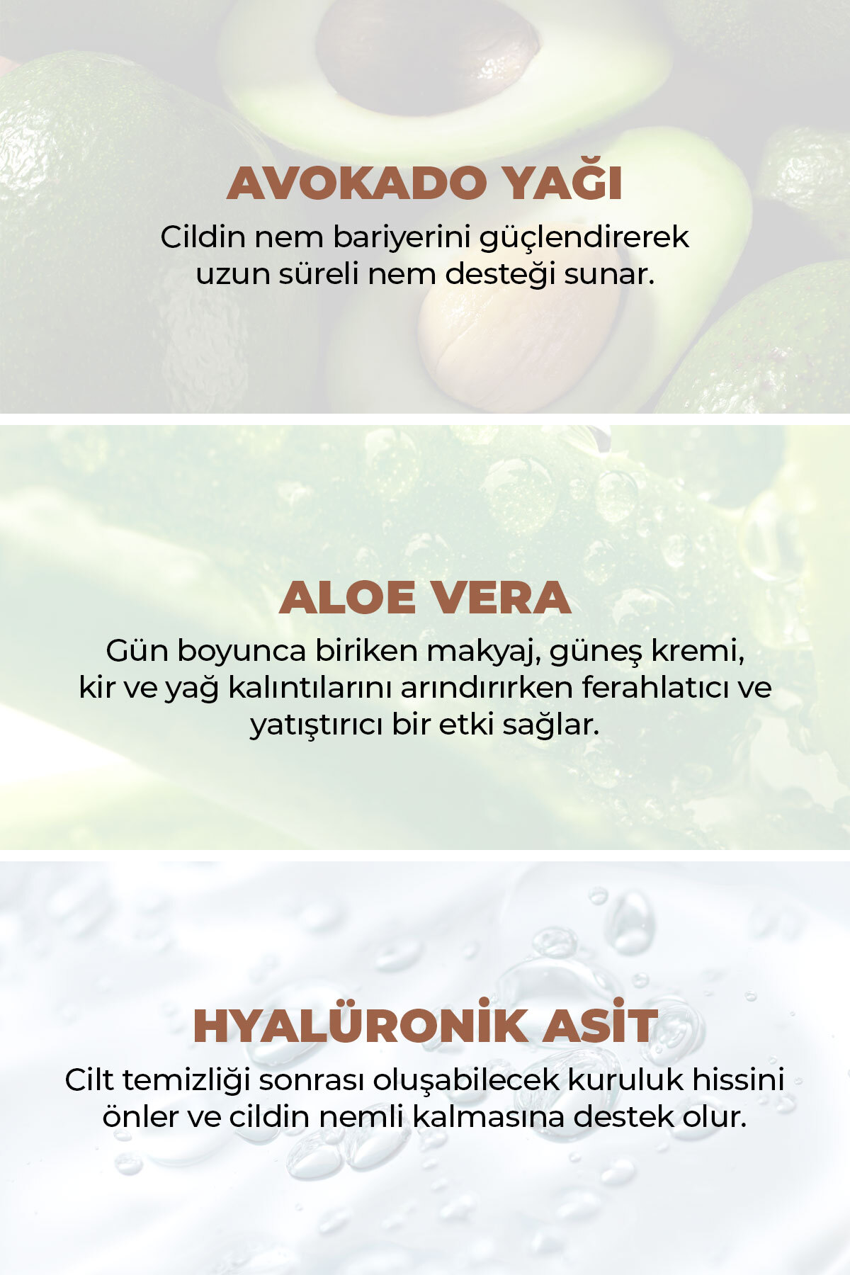Siyah Nokta Karşıtı Arındırıcı ve Ferahlatıcı Çift Aşamalı Temizlik Bakım Seti (Çay Ağacı Yağı, Aloe Vera) — NT1003 — تصویر 2 از 5