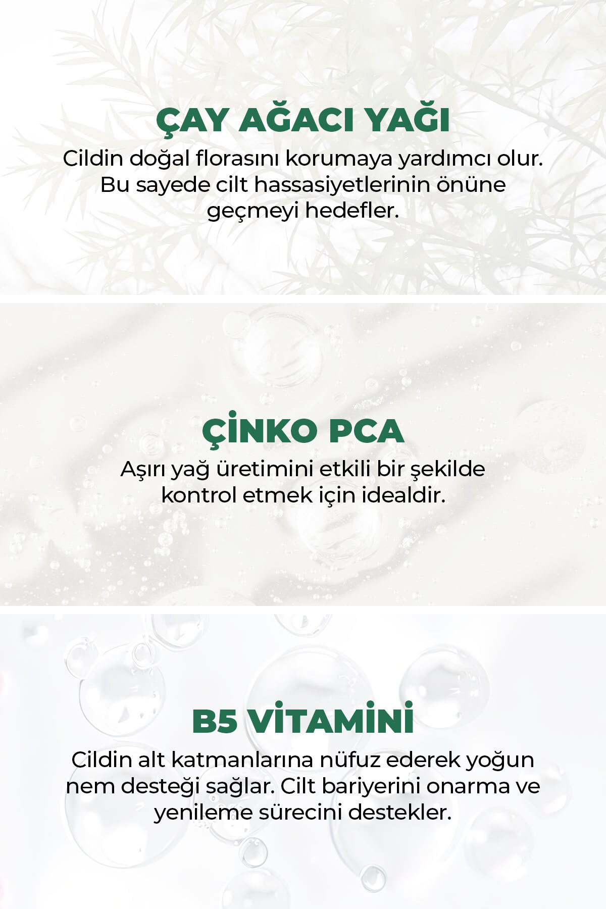 Siyah Nokta Karşıtı Arındırıcı ve Ferahlatıcı Çift Aşamalı Temizlik Bakım Seti (Çay Ağacı Yağı, Aloe Vera) — NT1003 — تصویر 4 از 5