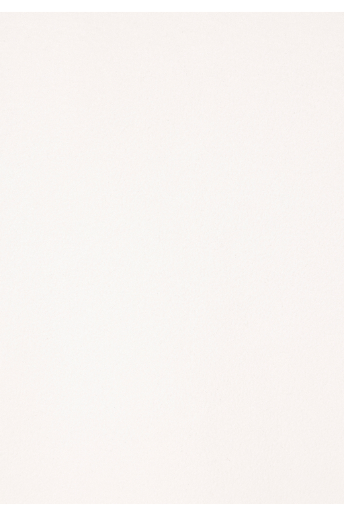 Colin’s  Regular Fit Fermuarlı Kadın Ekru Sweatshirt - Görsel 5