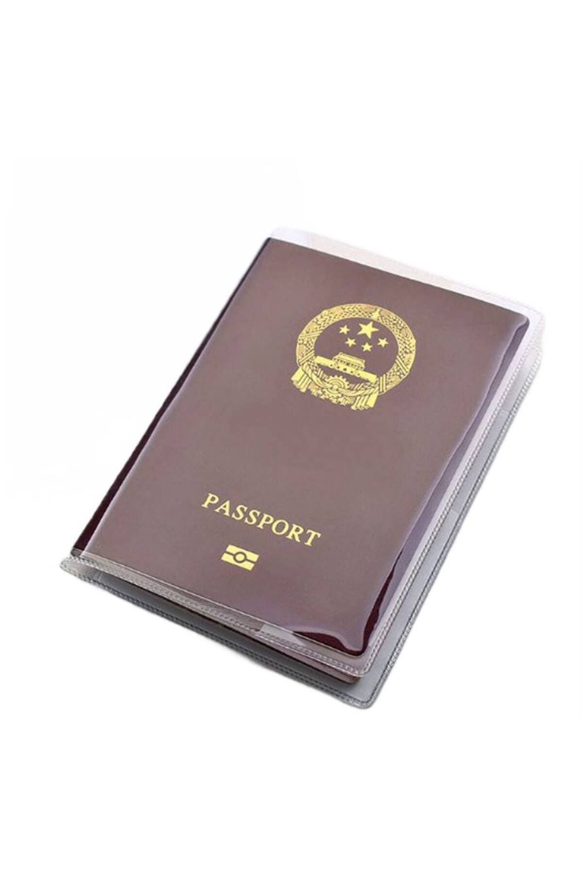 Boldy-1 Transparent Passport Holder - Protection and Protective Effect 7