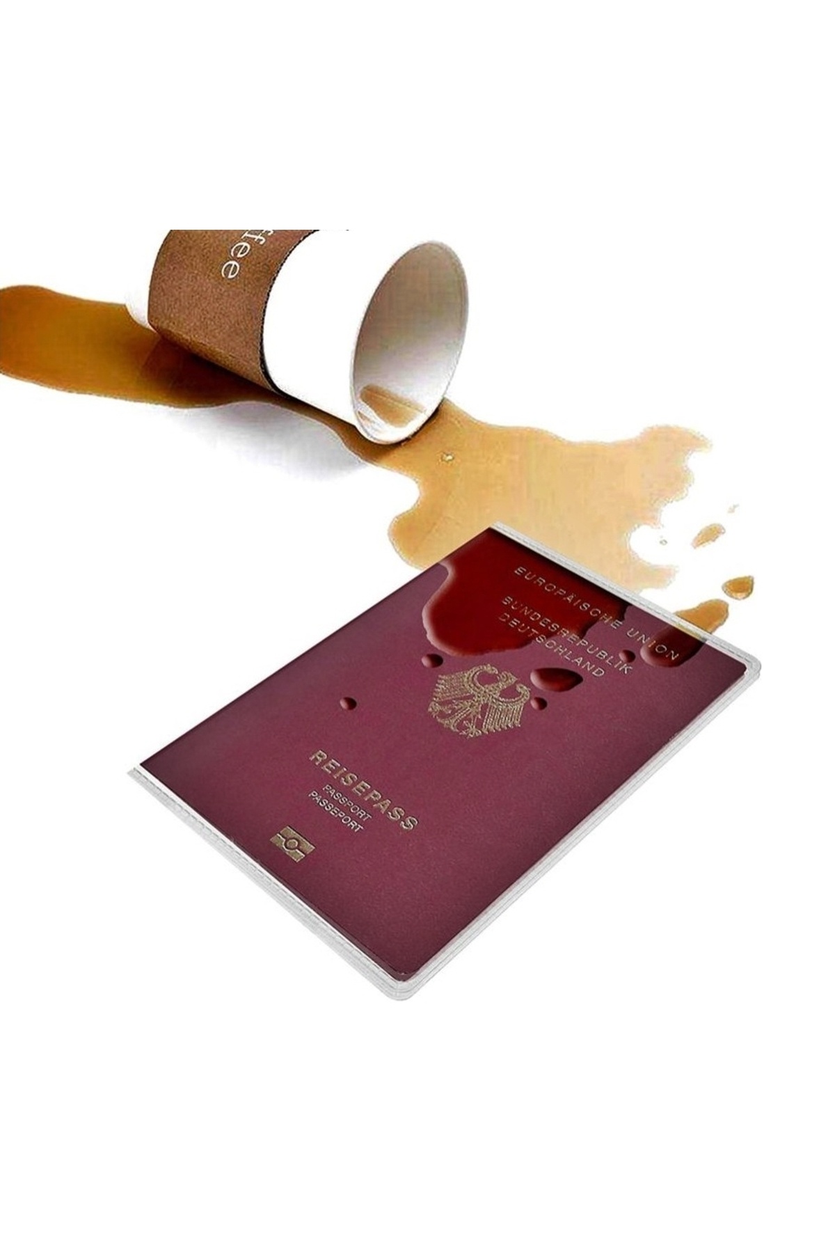 Boldy-1 Transparent Passport Holder - Protection and Protective Effect 5