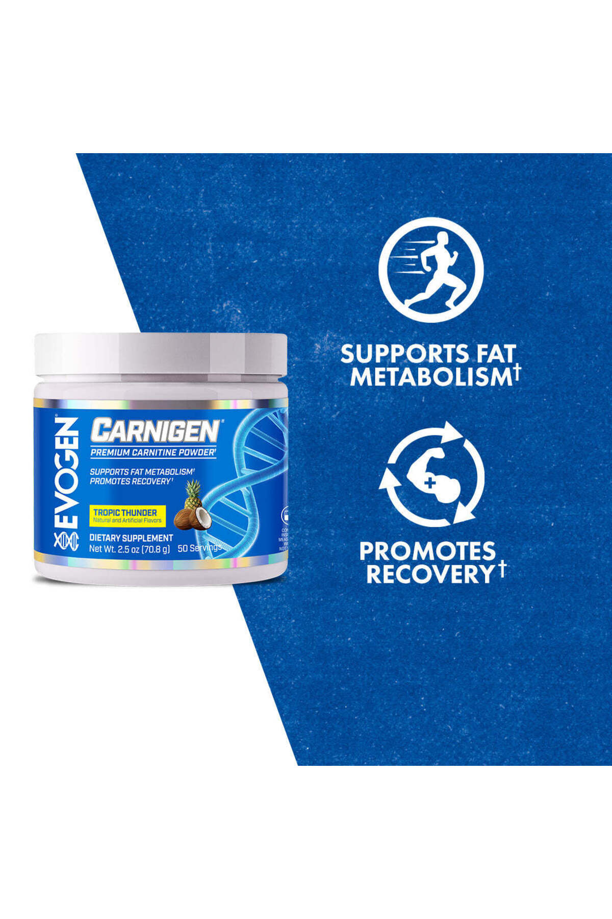 evogen l carnitine Evogen Carnigen - Premium Carnitine Powder | Supports Fat Metabolism &  Promotes Recovery