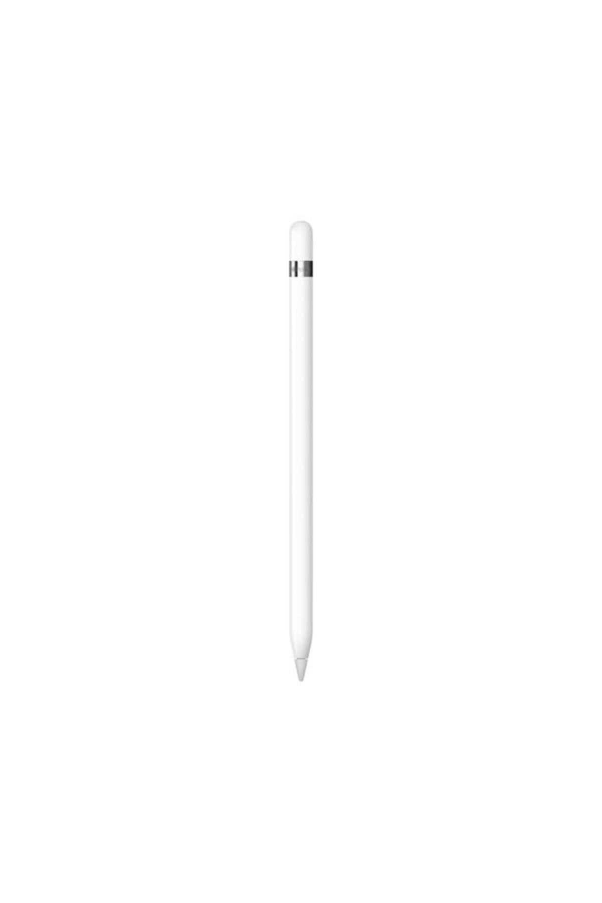 Apple-Stylus Pen Pencil MYQW3ZM/A (1st Generation), Bluetooth, Lightning, USB-C Adapter Included (Wh 1