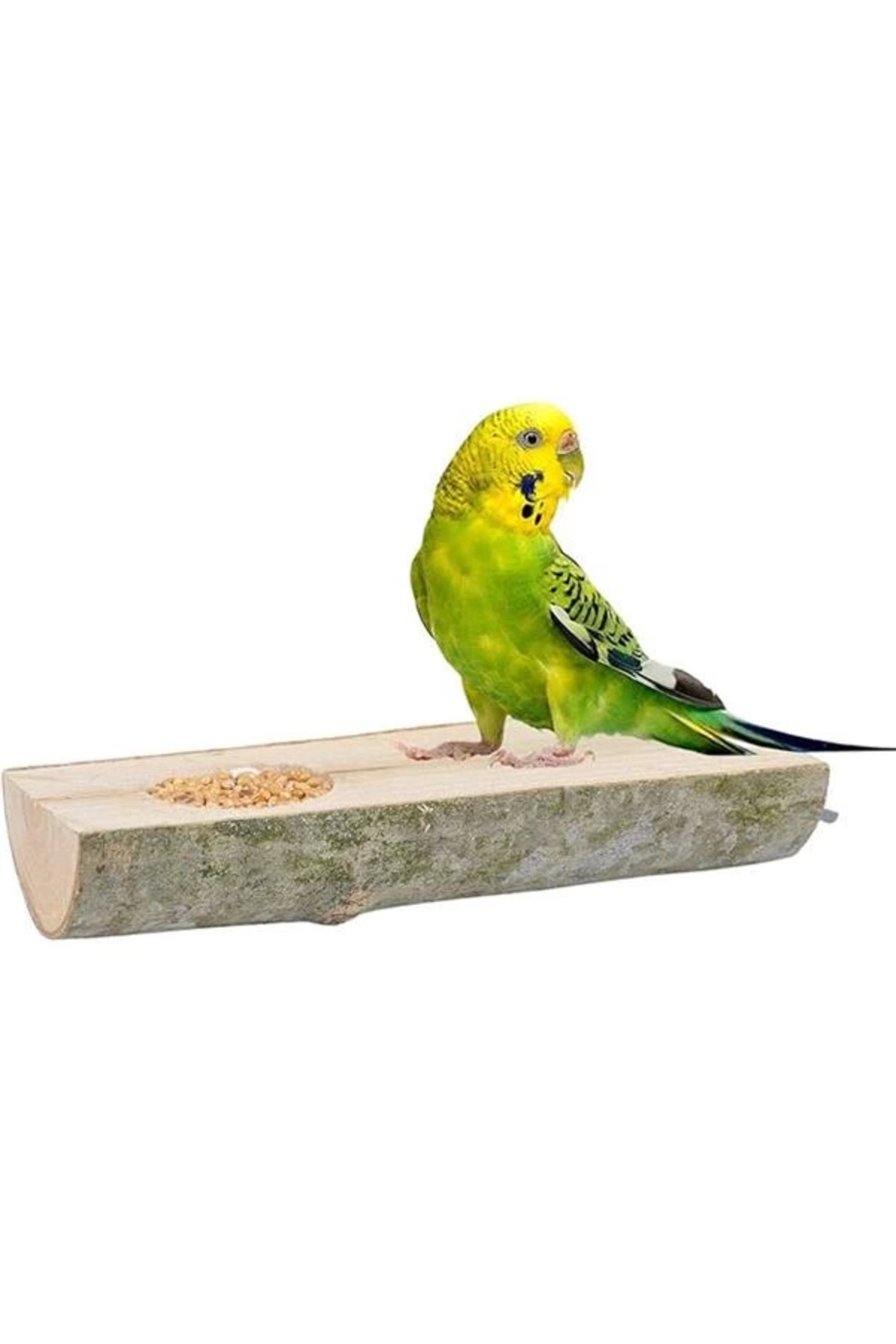 AyrStore X-Perk Doğal Ağaç Kuş Tüneği Ve Yemlik Kütük Tünek