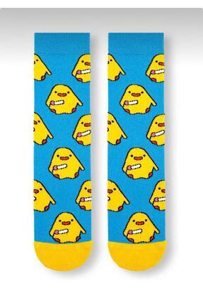 çorapmatik Civciv Desenli Renkli Soket Çorap - %100 Pamuk