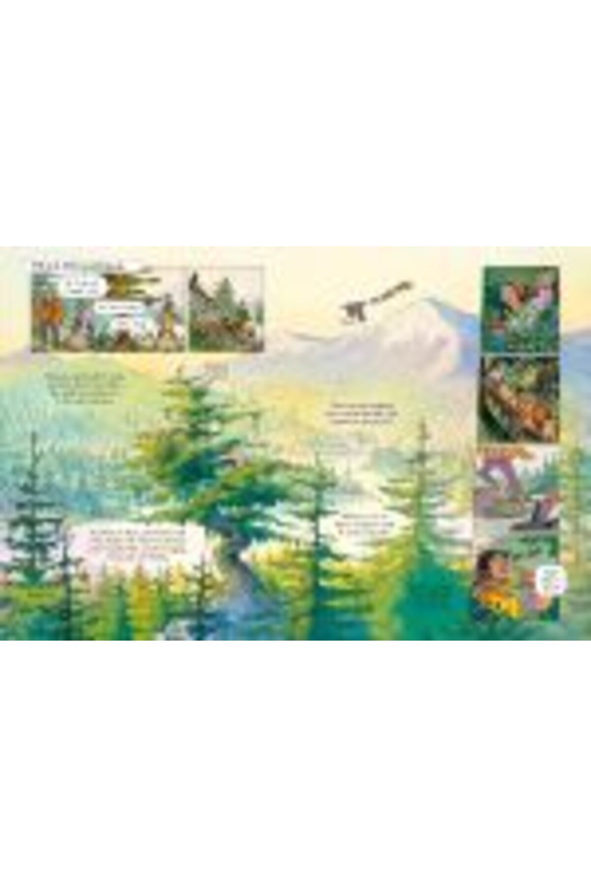 Usborne Publishing-24 Hours in the Wilderness 7