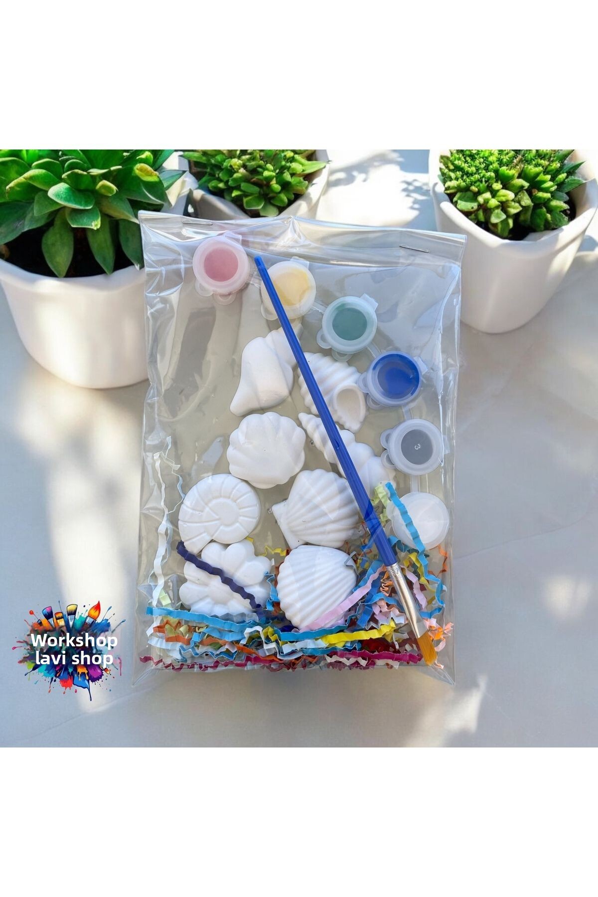 لاوی شاپ سی