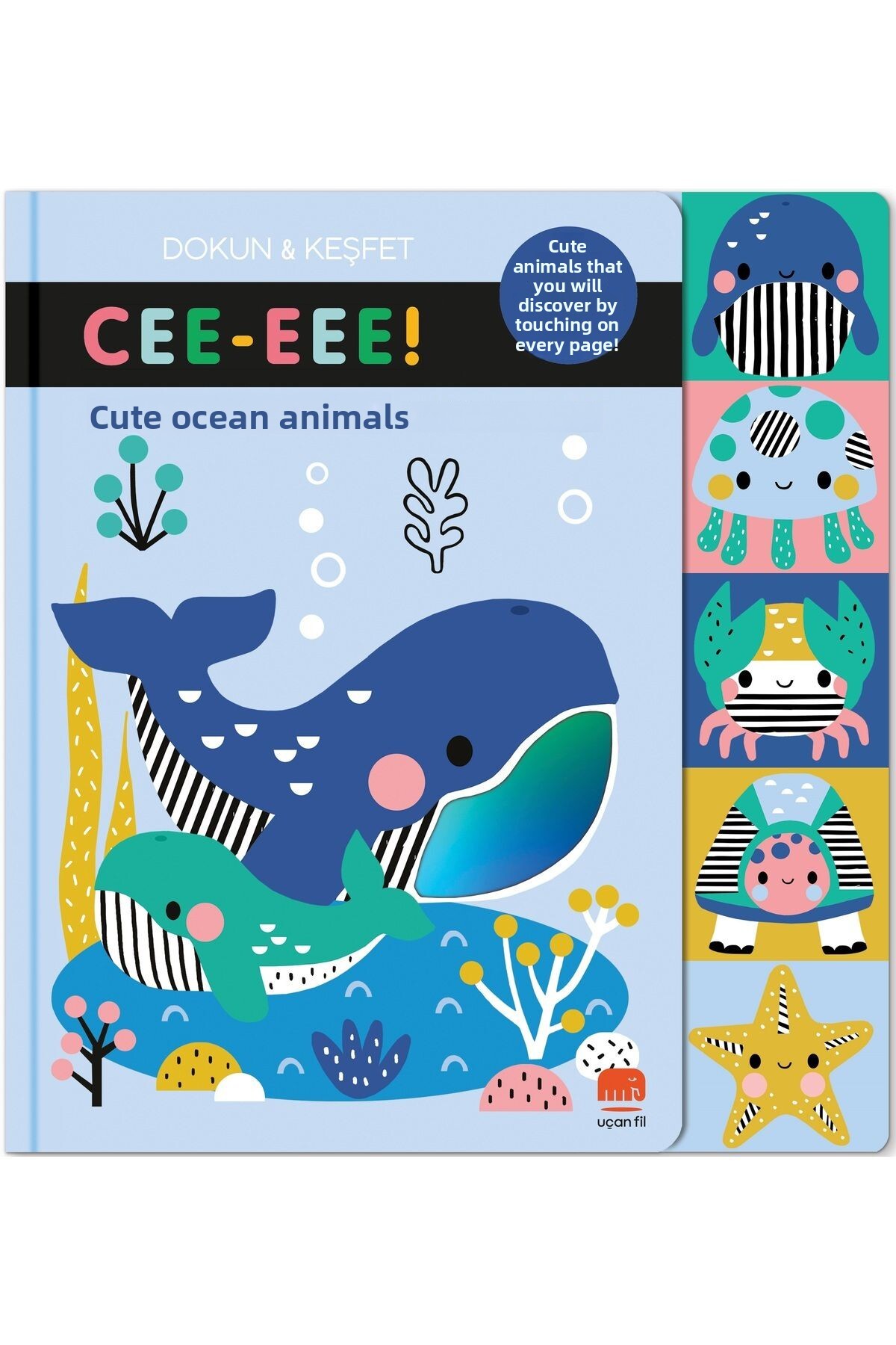 حیوانات دوست‌داشتنی اقیانوس - لمس کن و کشف کن، اثر ربکا ویراسکرا، کتاب ۱۰ صفحه‌ای، پخش فیل پرنده