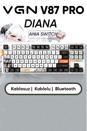 Meyer Gaming VGN V87 PRO RGB Gaming Kablosuz Mekanik Klavye Gasket (2.4GHz Ka...