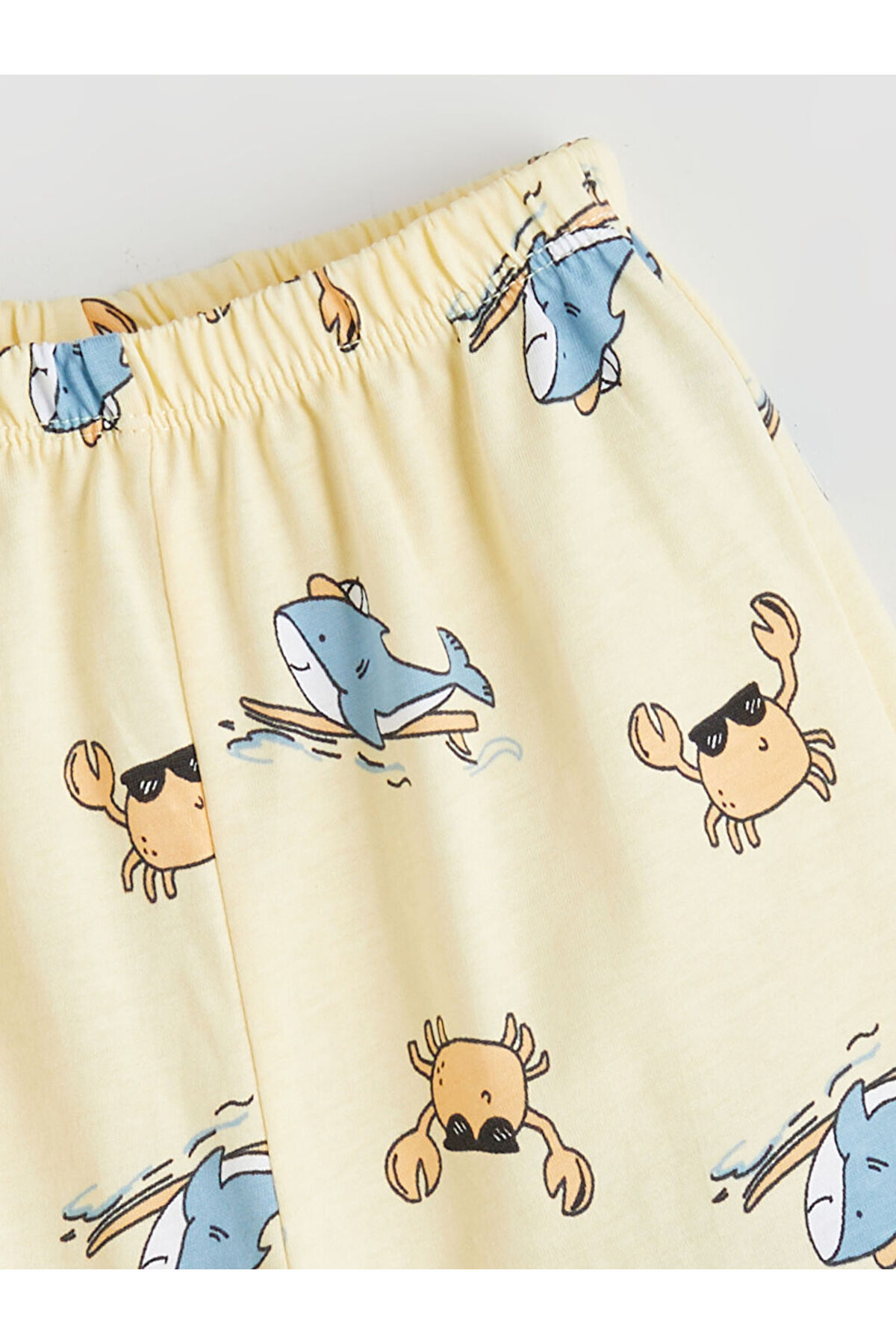 LC Waikiki-Create Your Style from Uzg Store |   Printed Baby Boy Undershirt and Shorts 2-Pack 6