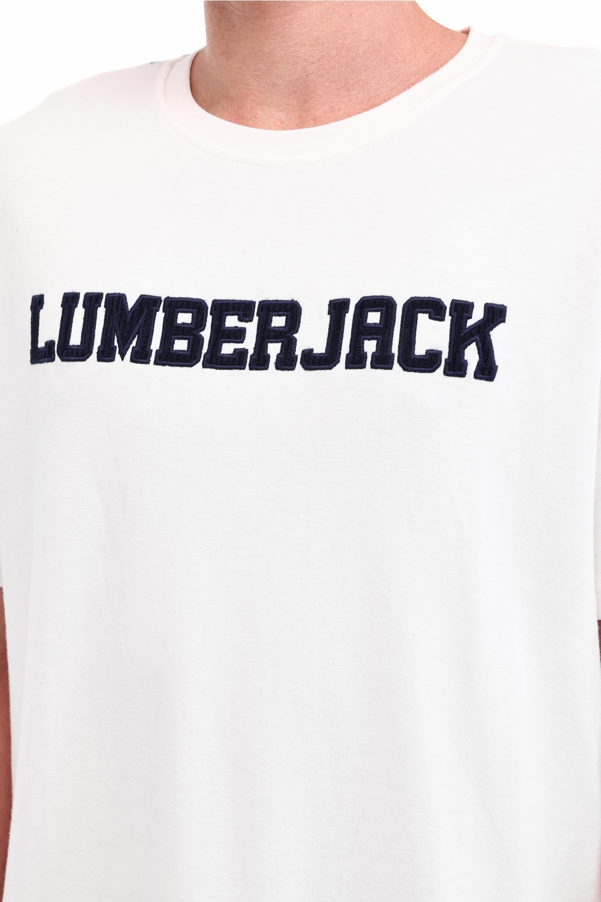 تی شرت مردانه آستین کوتاه | لامبرجک Lumberjack 102024008 - تصویر 4