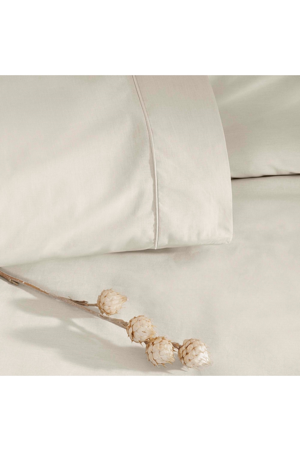 Taç-Basic Ranforce Single Duvet Cover Set Ecru 2