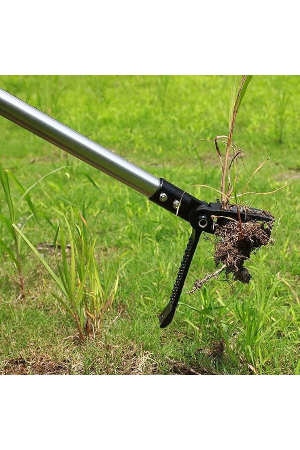 Blasko-Ergonomic weed puller, without bending and without effort, 100 cm handle 3