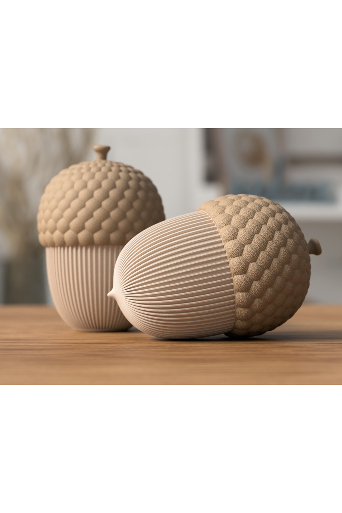 Conteneurs Acorn – 12 cm Lot de 2 Boîtes de Rangement Acorn imprimées en 3D