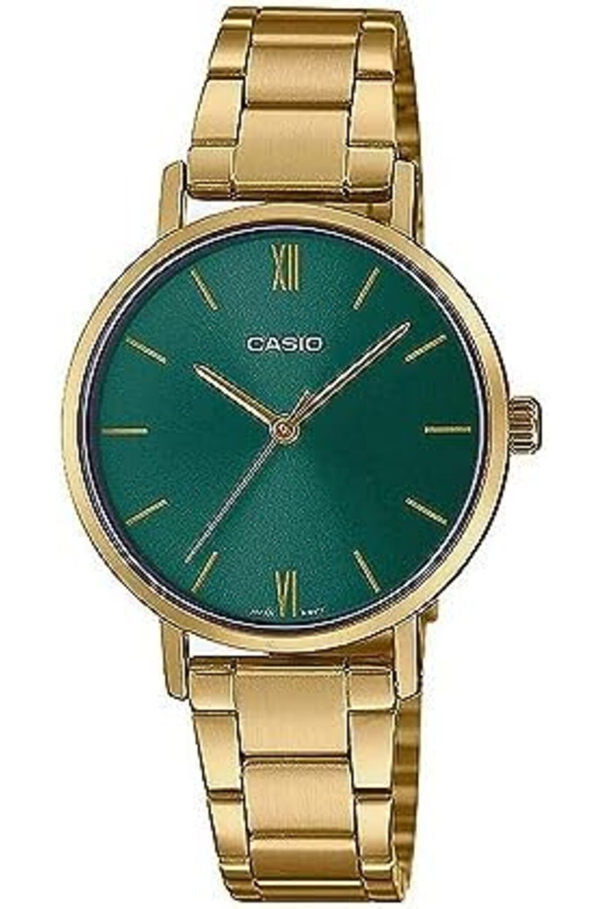 Casio-Watch 1