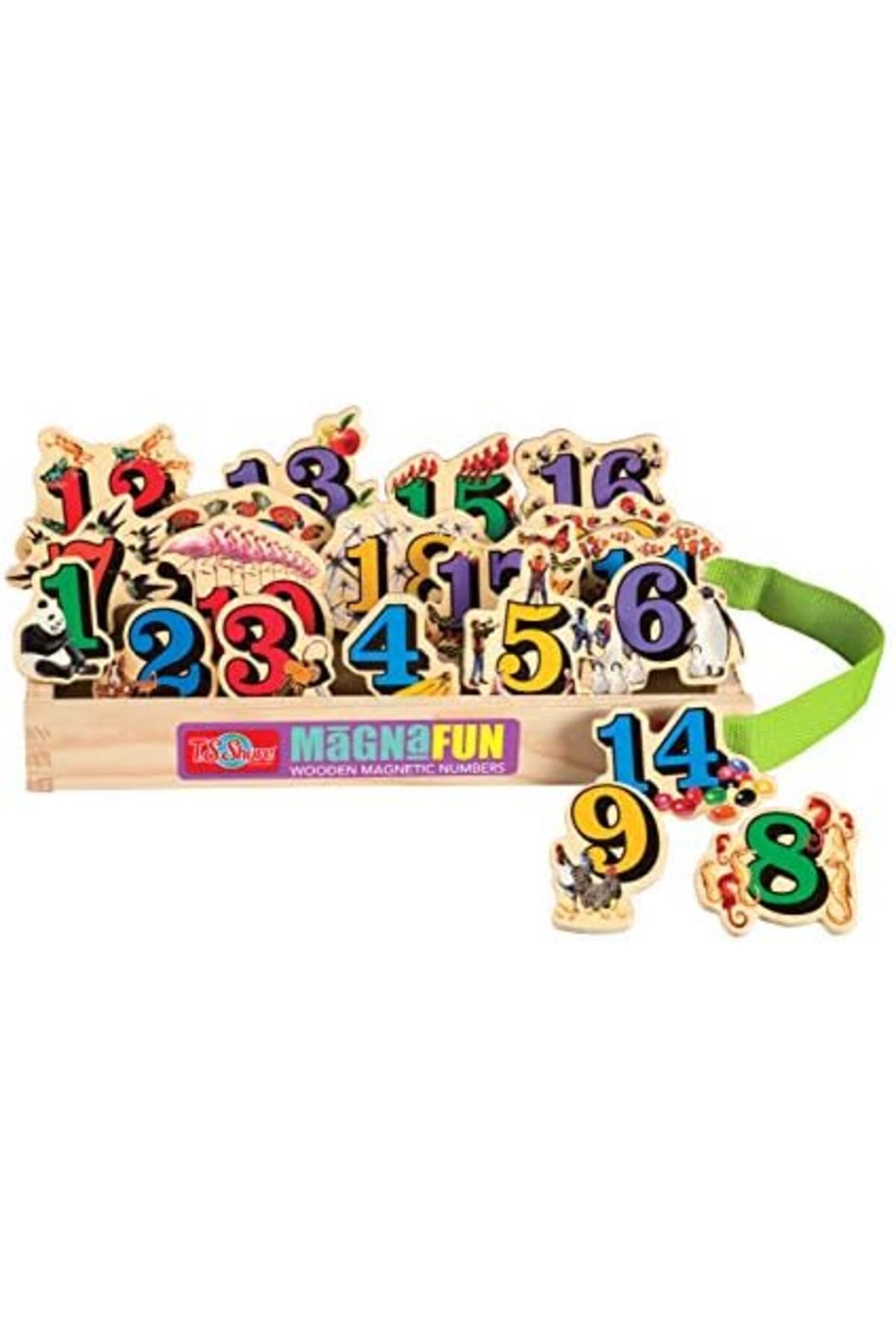 مگنت‌های چوبی آموزشی مگنافون، شمارش اعداد، ۲۰ تکه